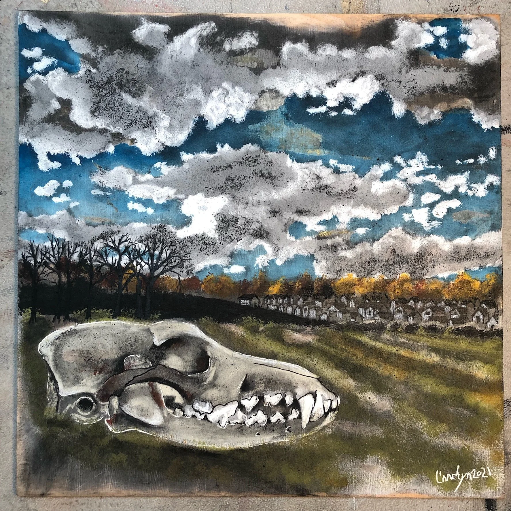 Ninety Yards Outside Your Back Door