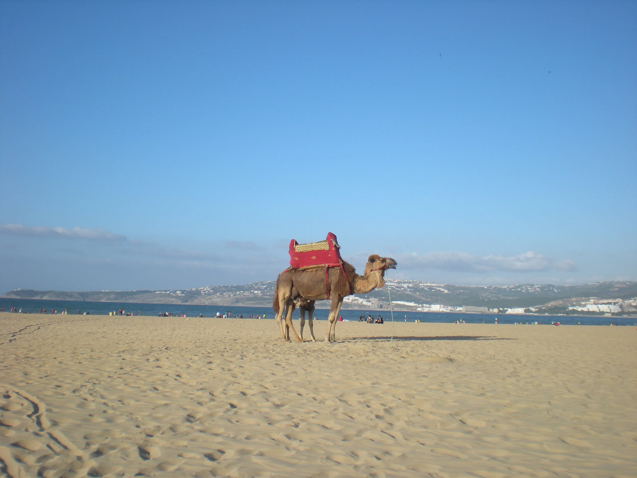 Tangier, Morocco