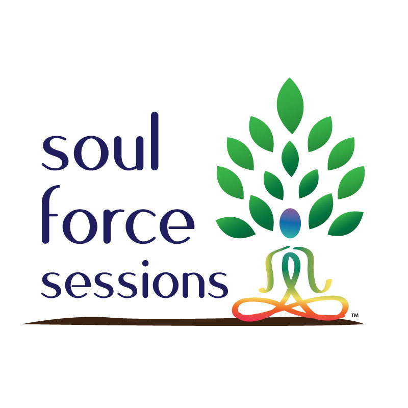 Sign up for my Soul Force Sessions Email Newsletter Above!