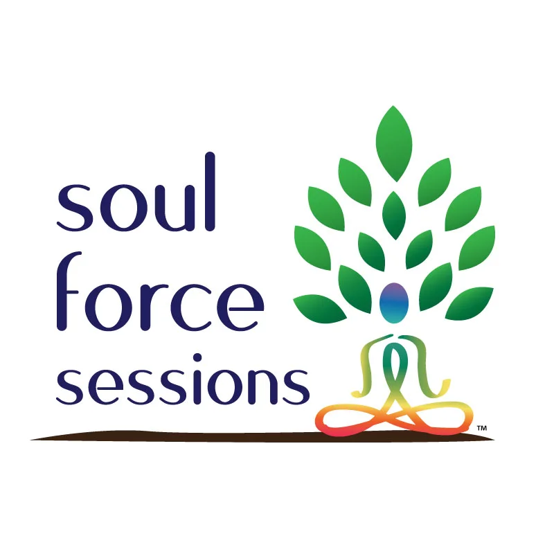 Sign up for my Soul Force Sessions Email List Below!