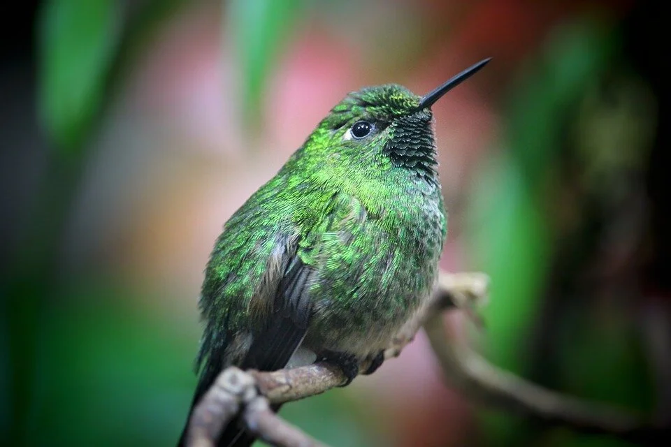 3 Ways to Cultivate Self-Compassion