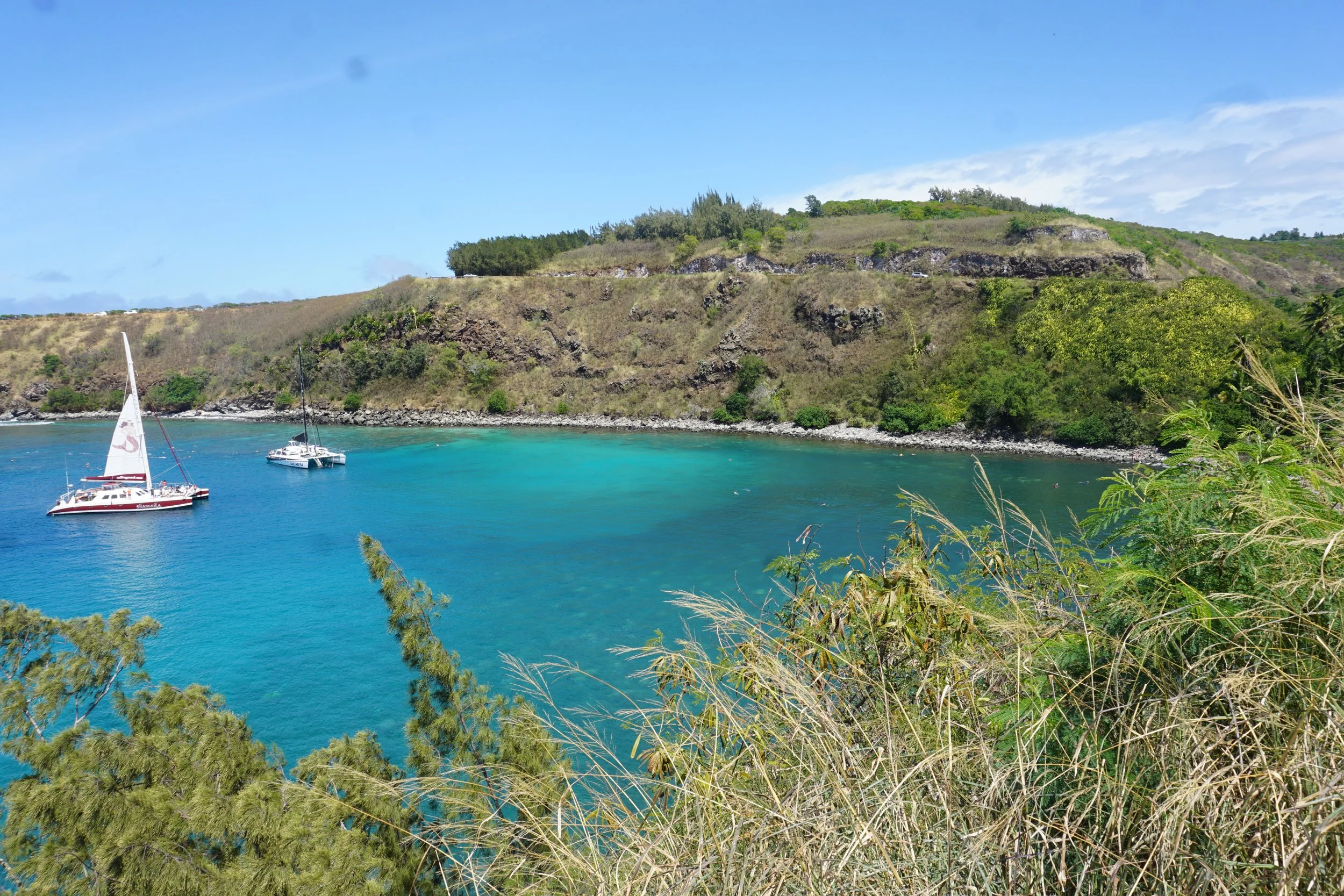 DSC01506.JPG