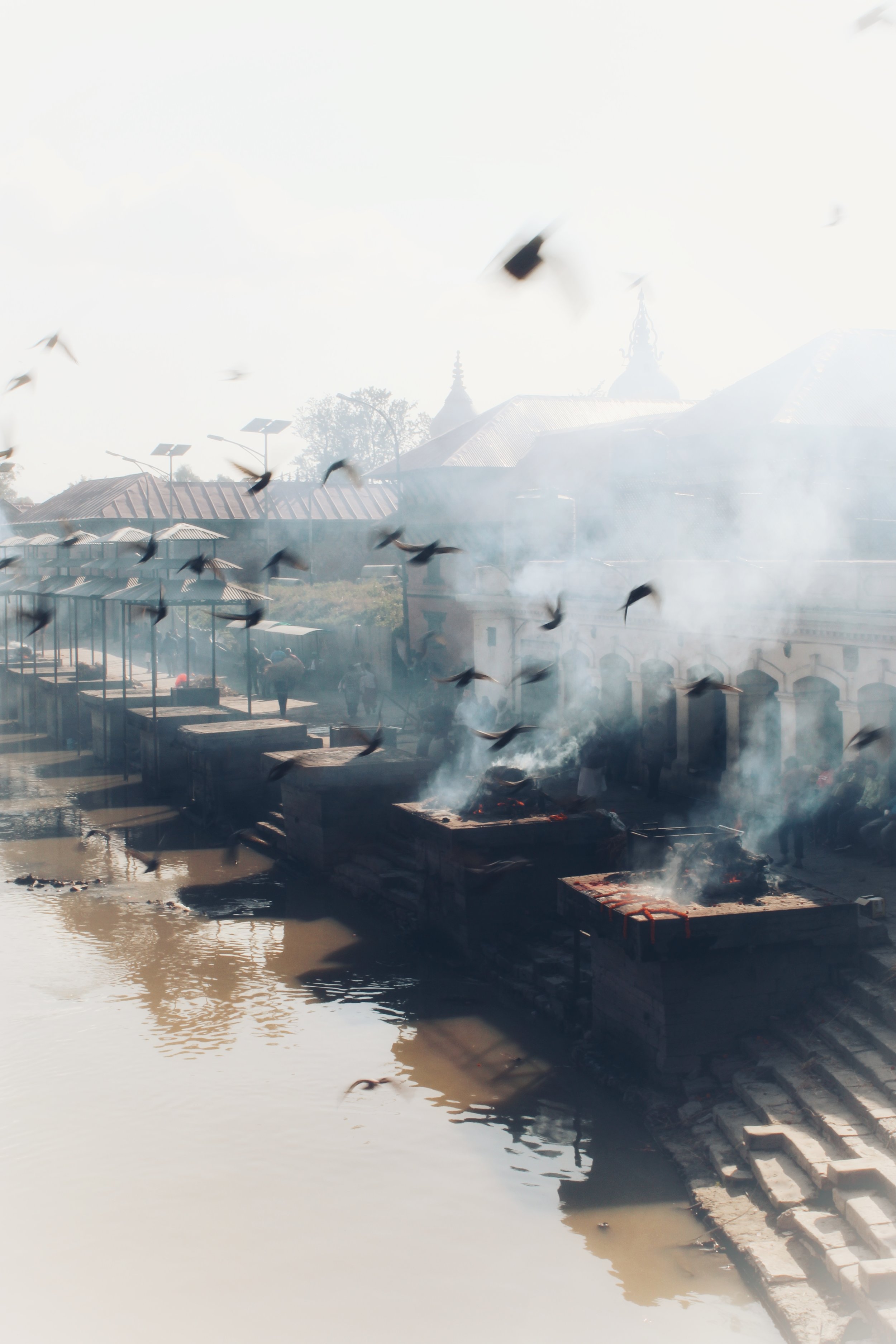Cremation