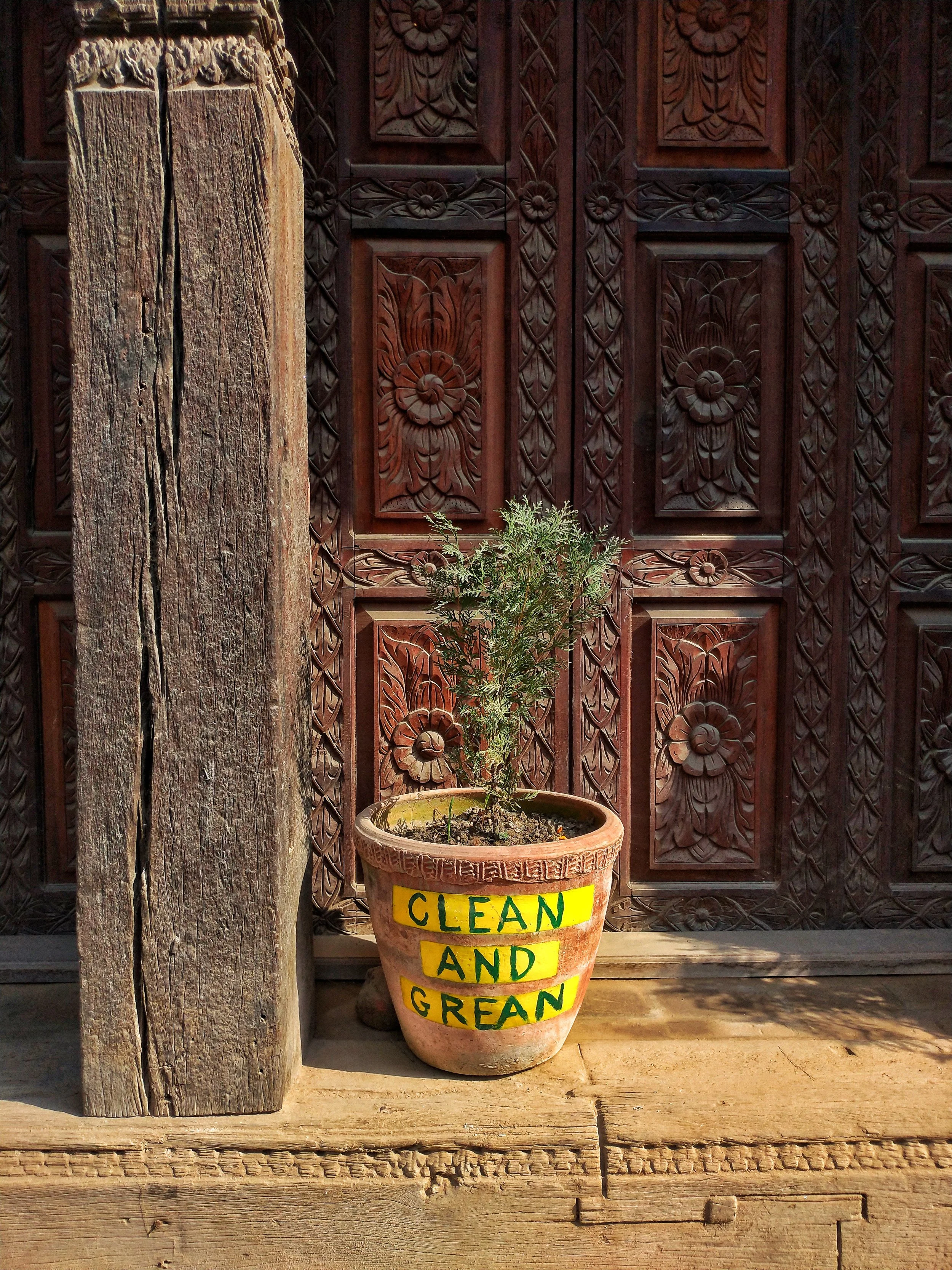 Lovely initiative in Patan