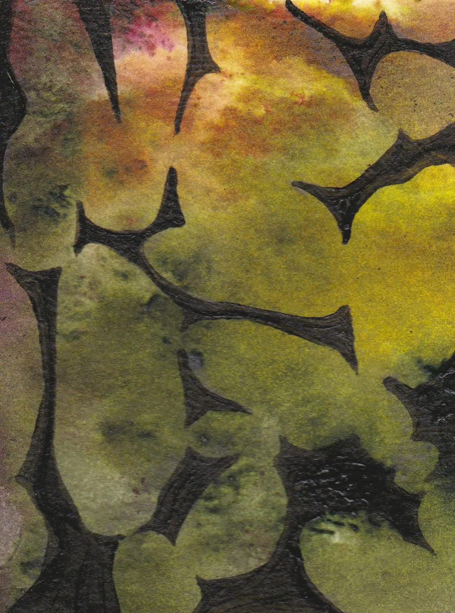 Deer Isle Granite 1.jpeg