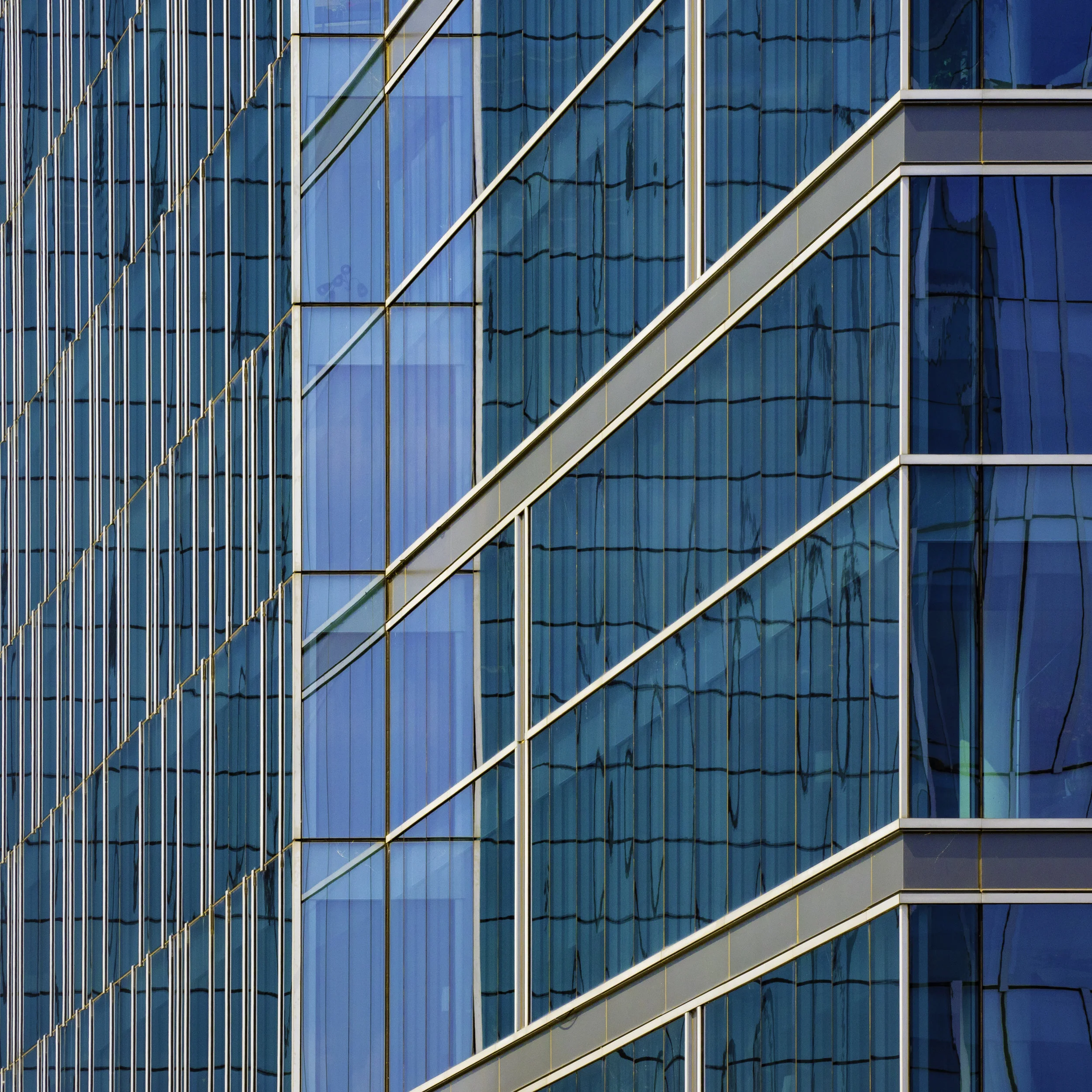 moreweb-5.jpg