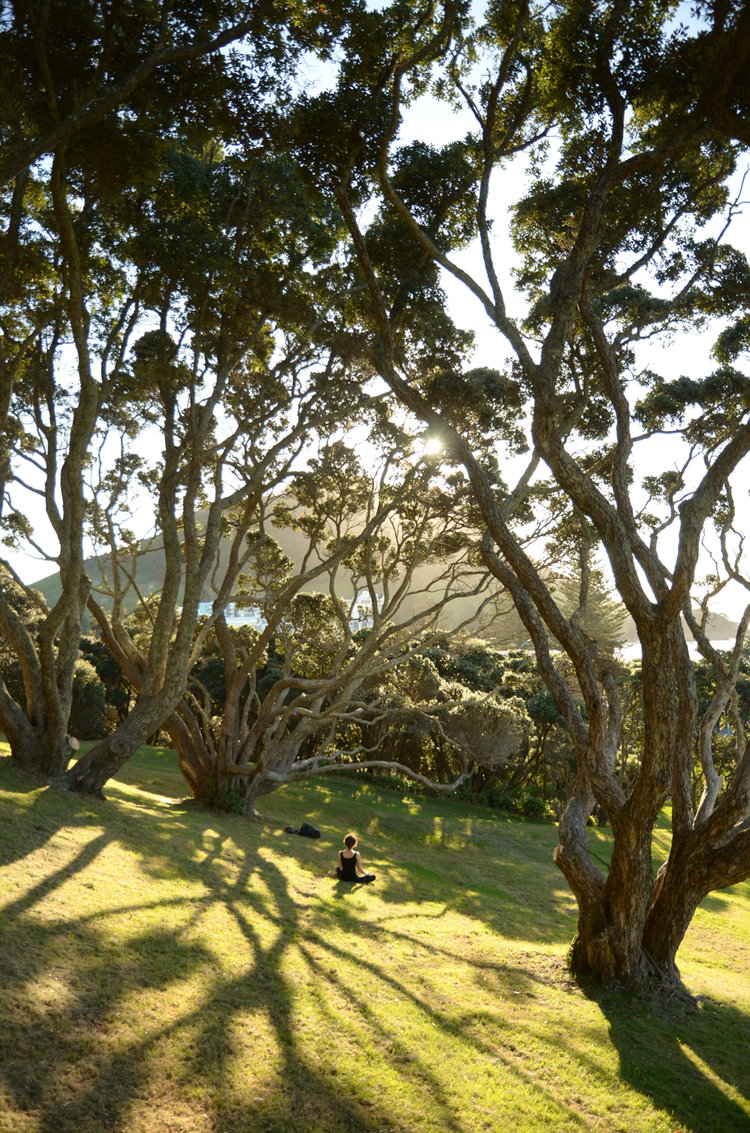 DSC_7076.jpg