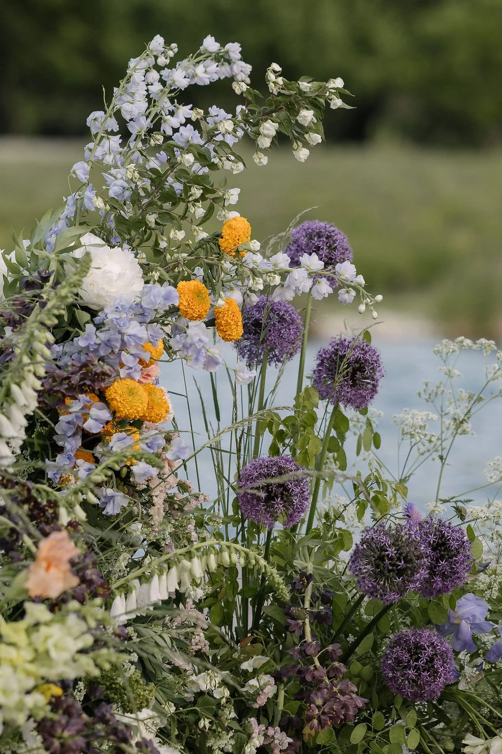JOANNA+SAMI_Domaine_des_patras-257.jpg