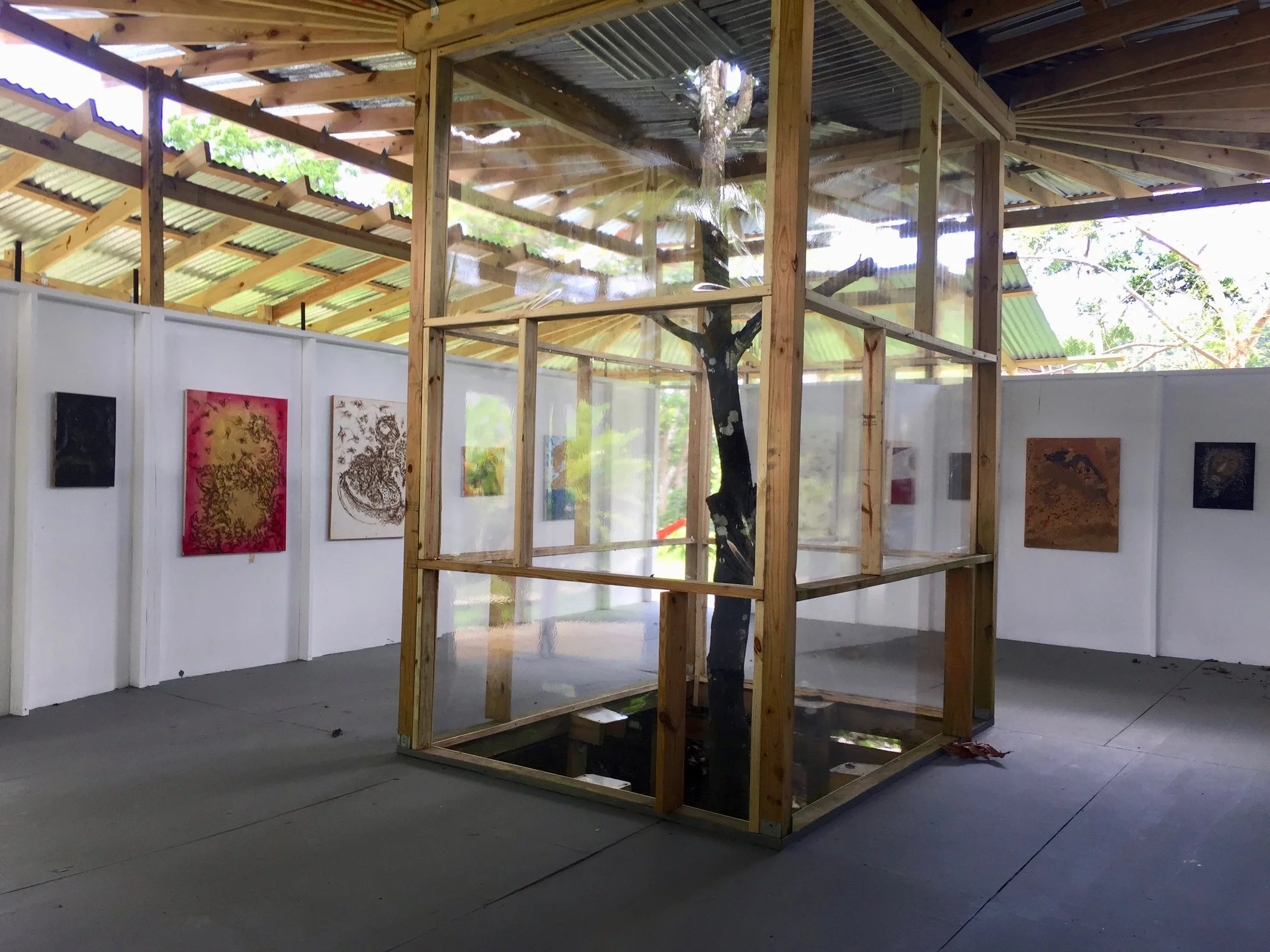 Papo Colo_Pangea Art Republic_Artist Studio in the Rainforest_Pana House_Captive Tree.jpg