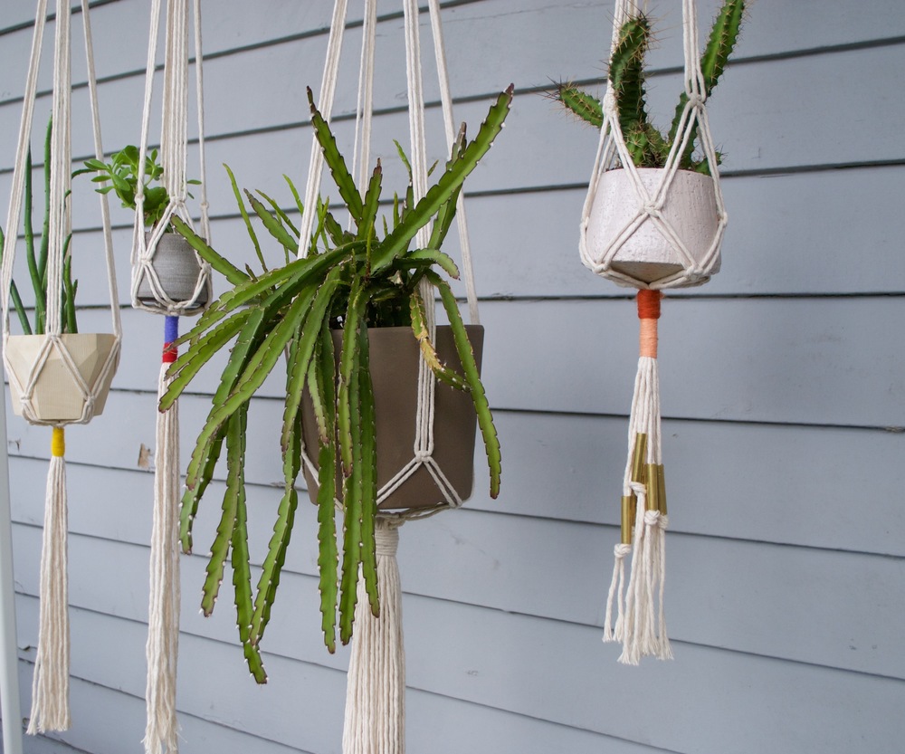 plant hangers.jpeg