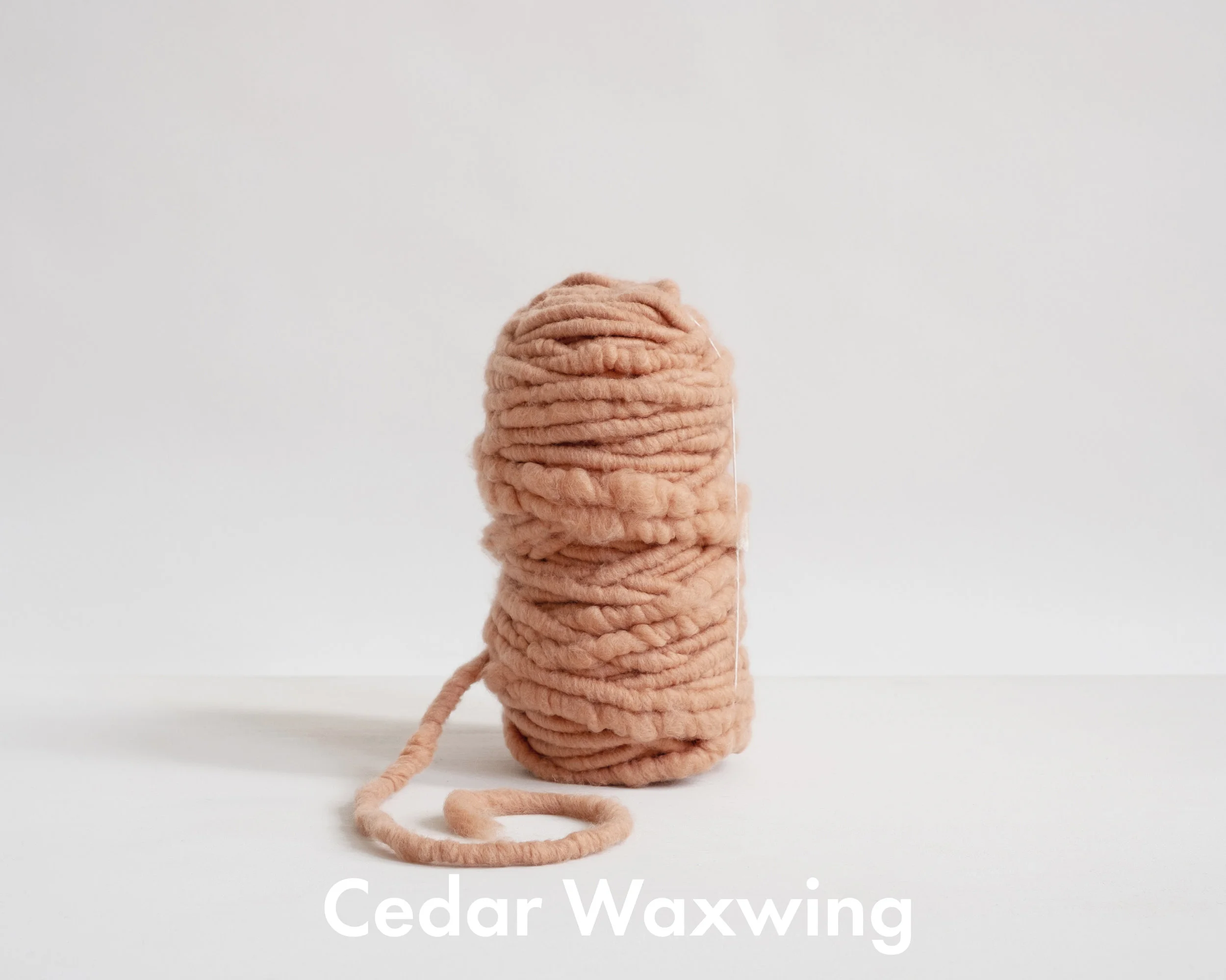 cedarwaxwing.jpg