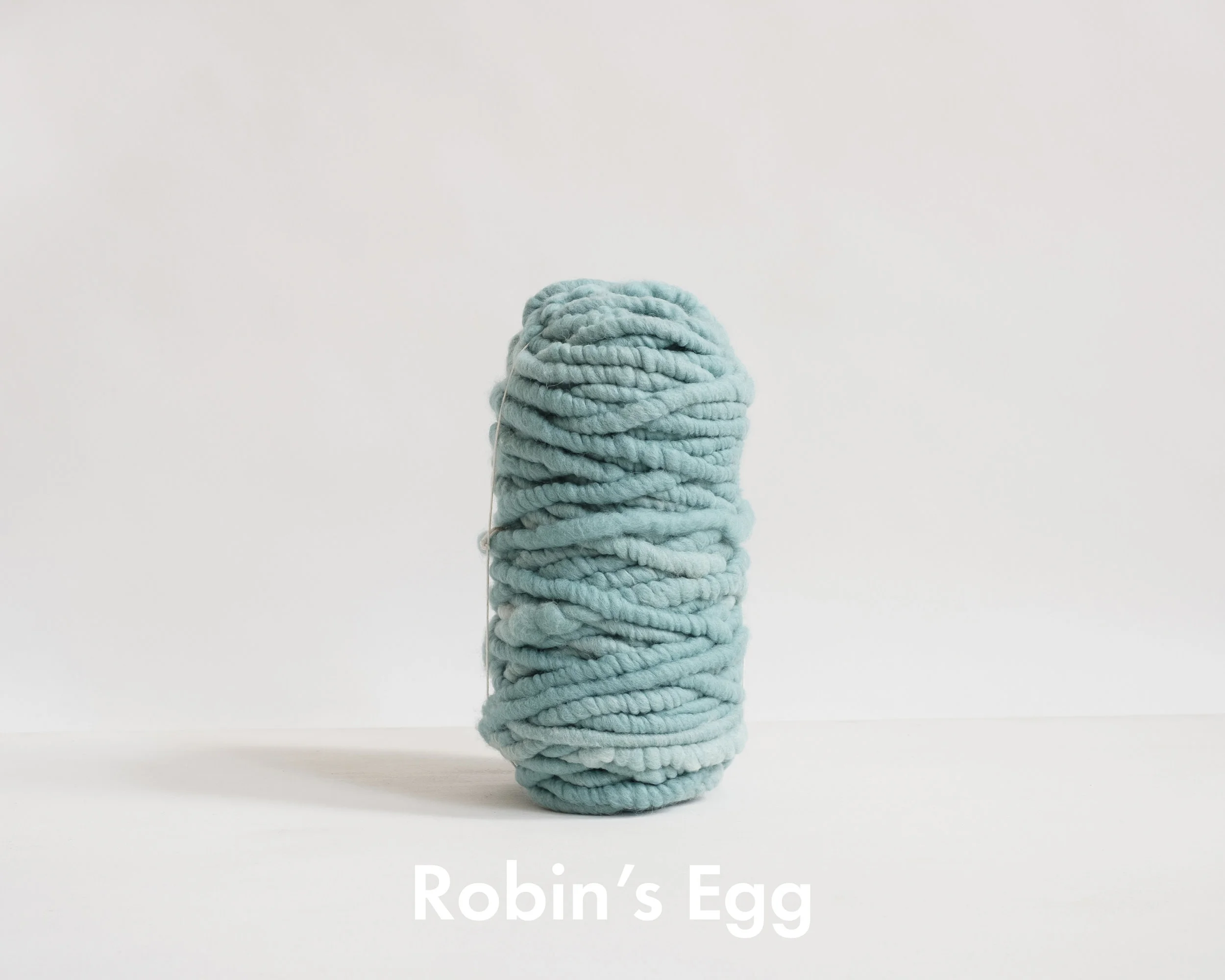 robinsegg.jpg