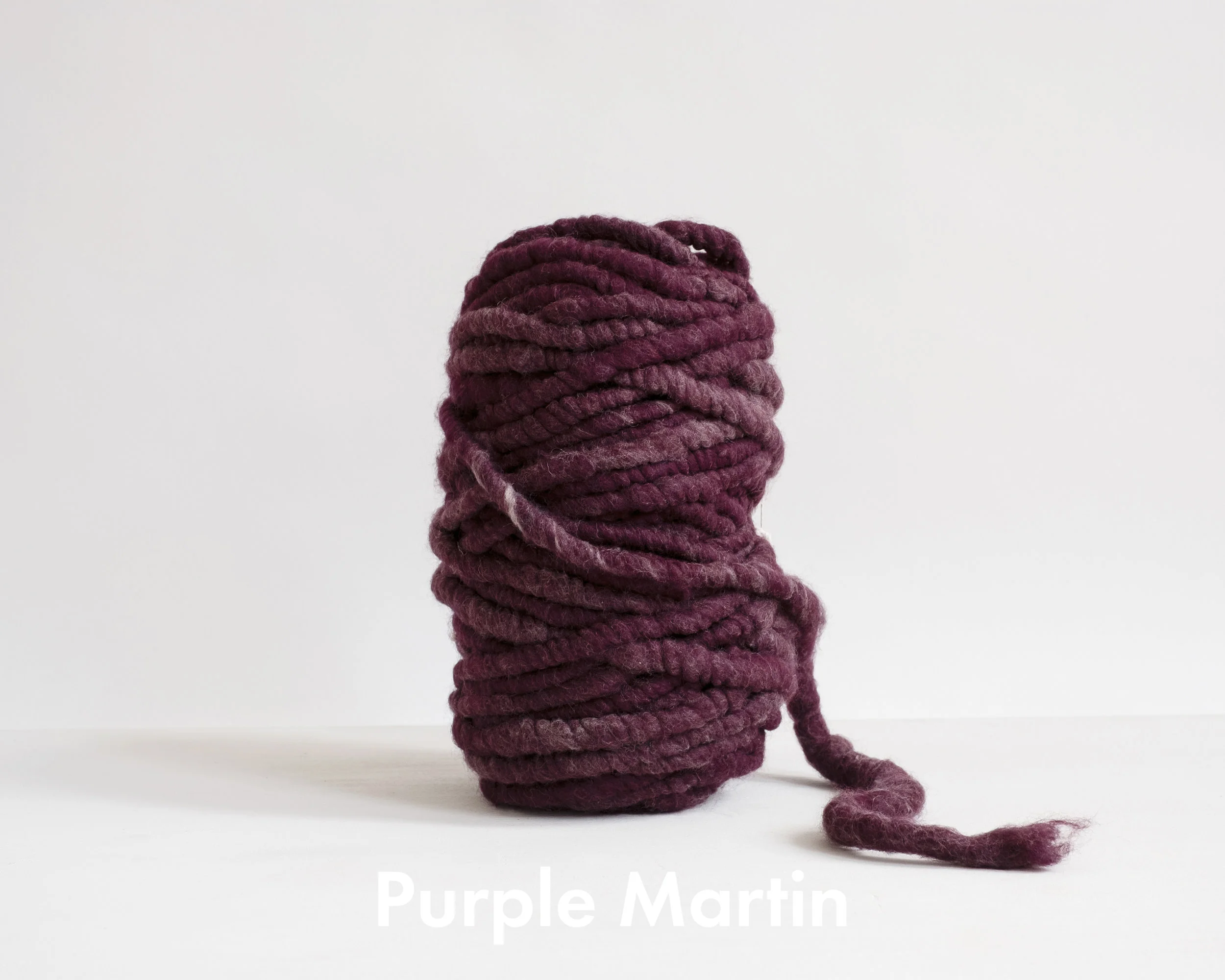 purple martin.jpg