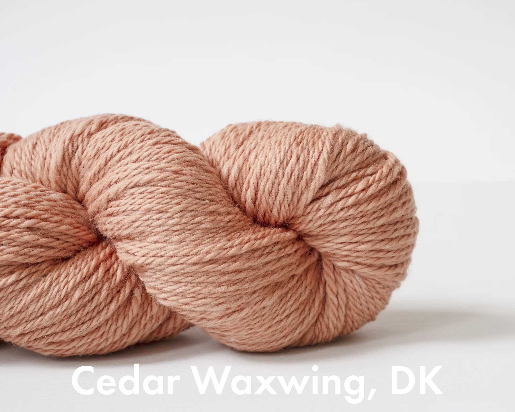 Cedar Waxwing dk.jpg
