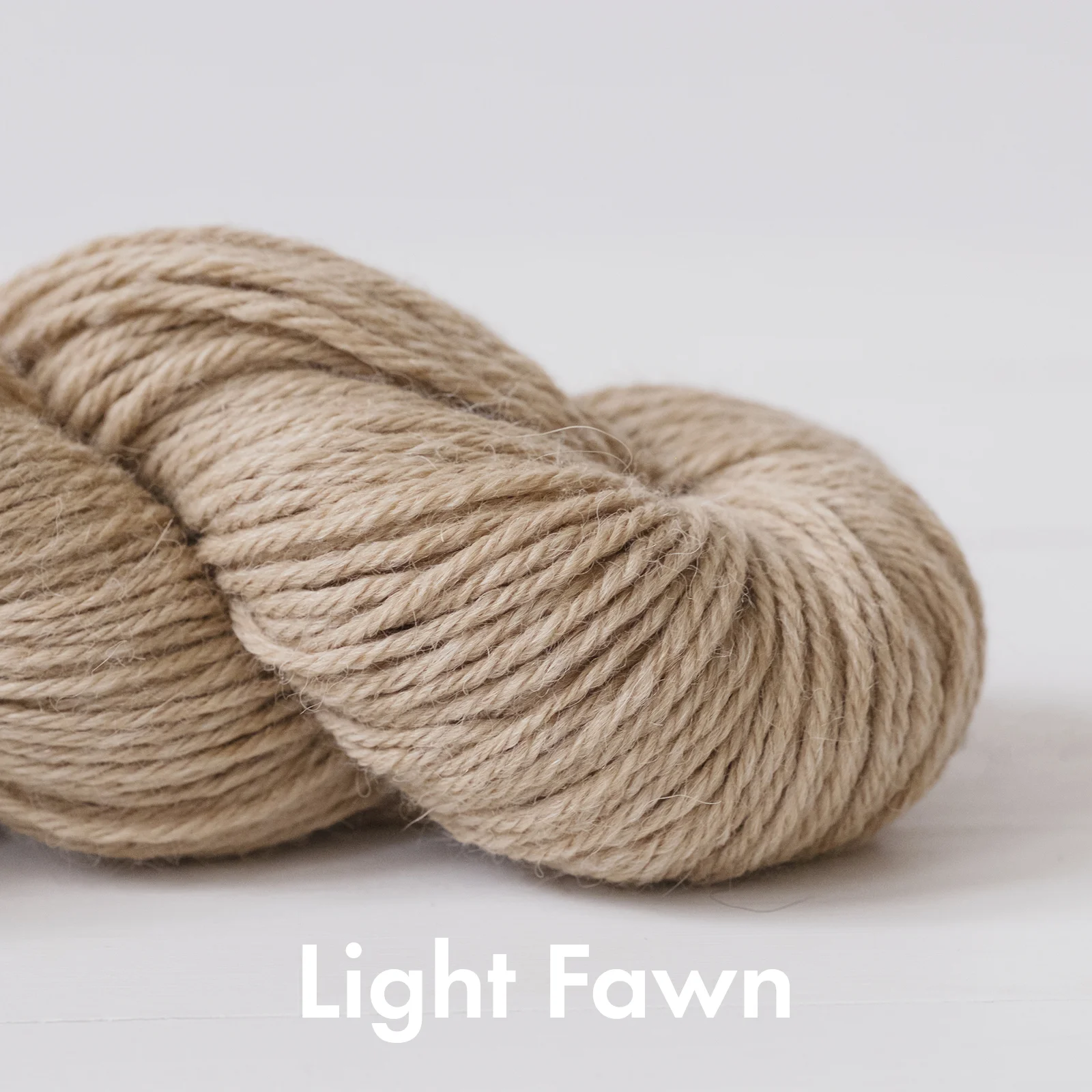 lightfawn.jpg
