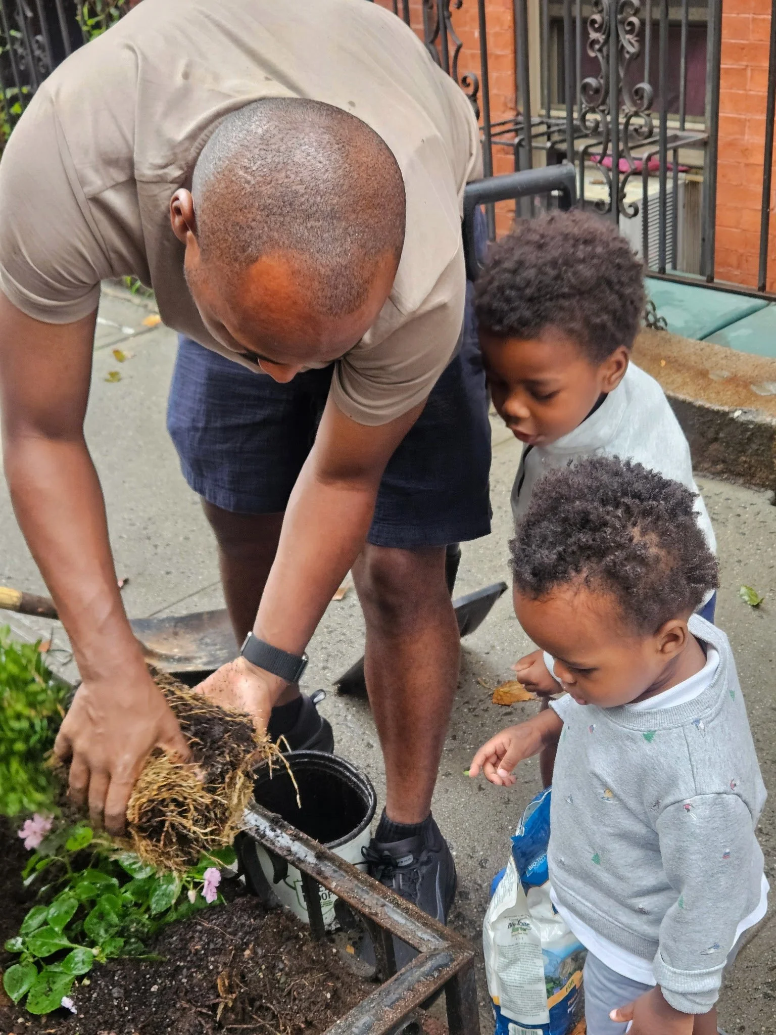 Greening our NYC tree pit
