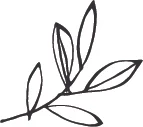 McKimm_Leaf.jpg