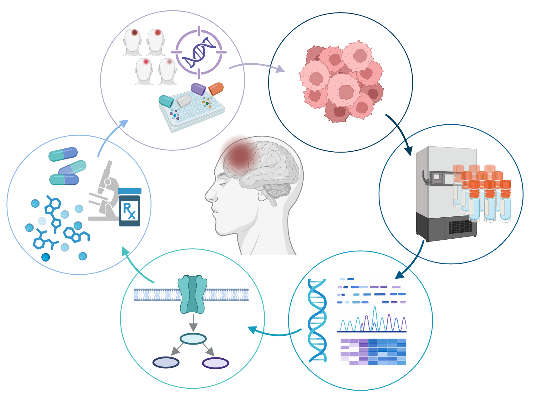 The Kurland Family Neuro Research Lab — Nathanson Lab at UCLA