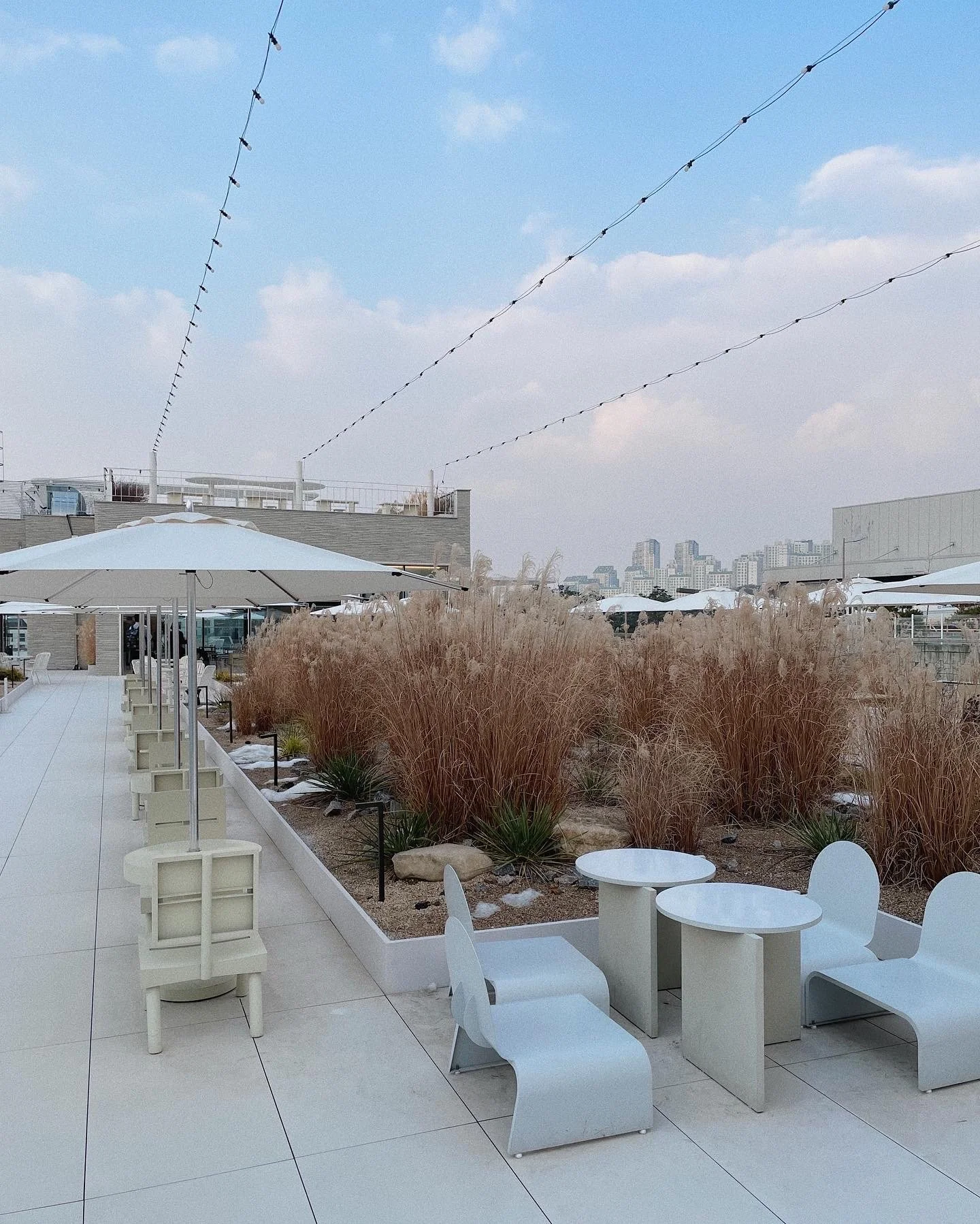 2E87048A-47BC-4208-8B9C-60BED6F8F72A 2.JPG