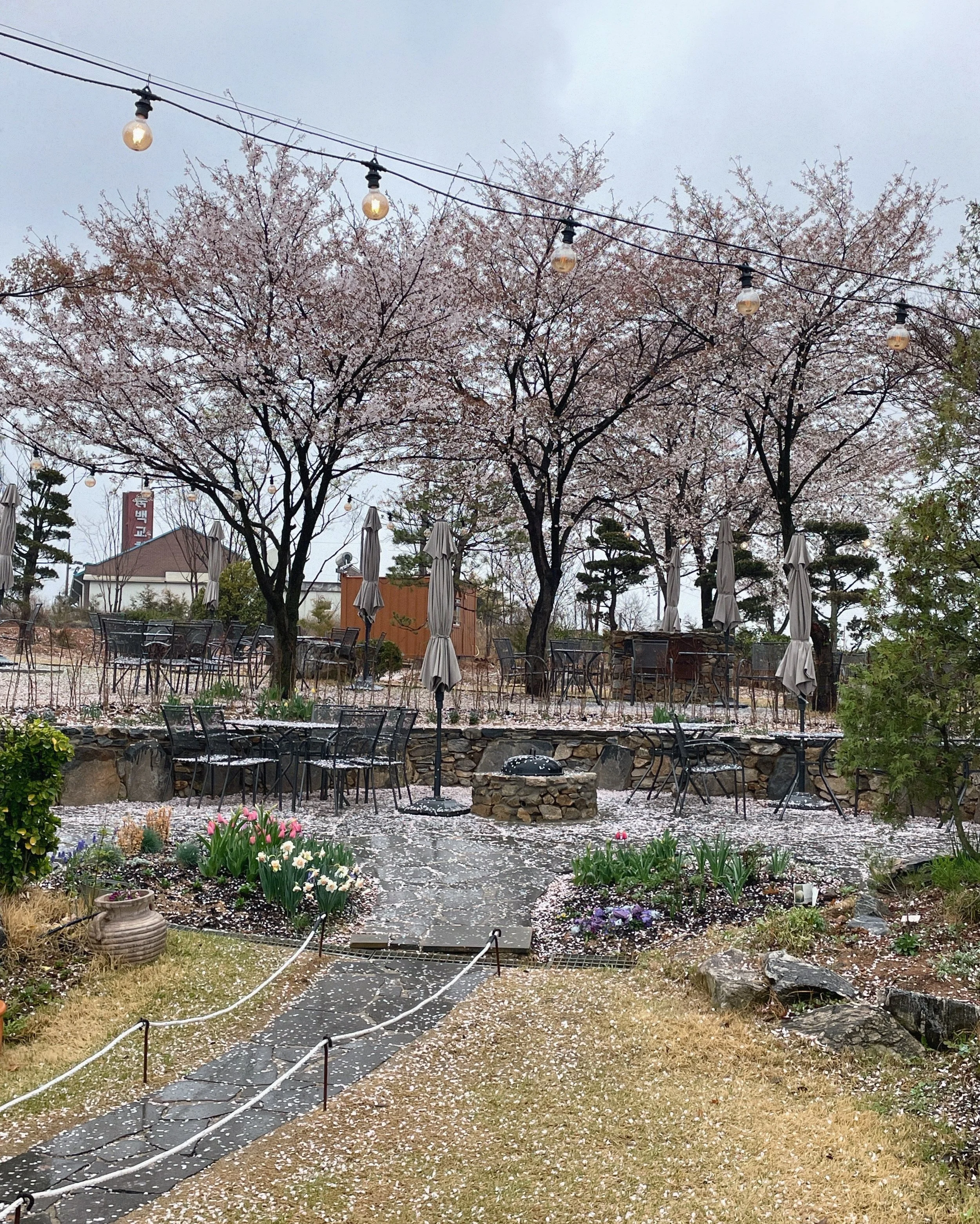 3ABE053C-3B65-48C1-B842-D5B34DCAB0DE.JPG