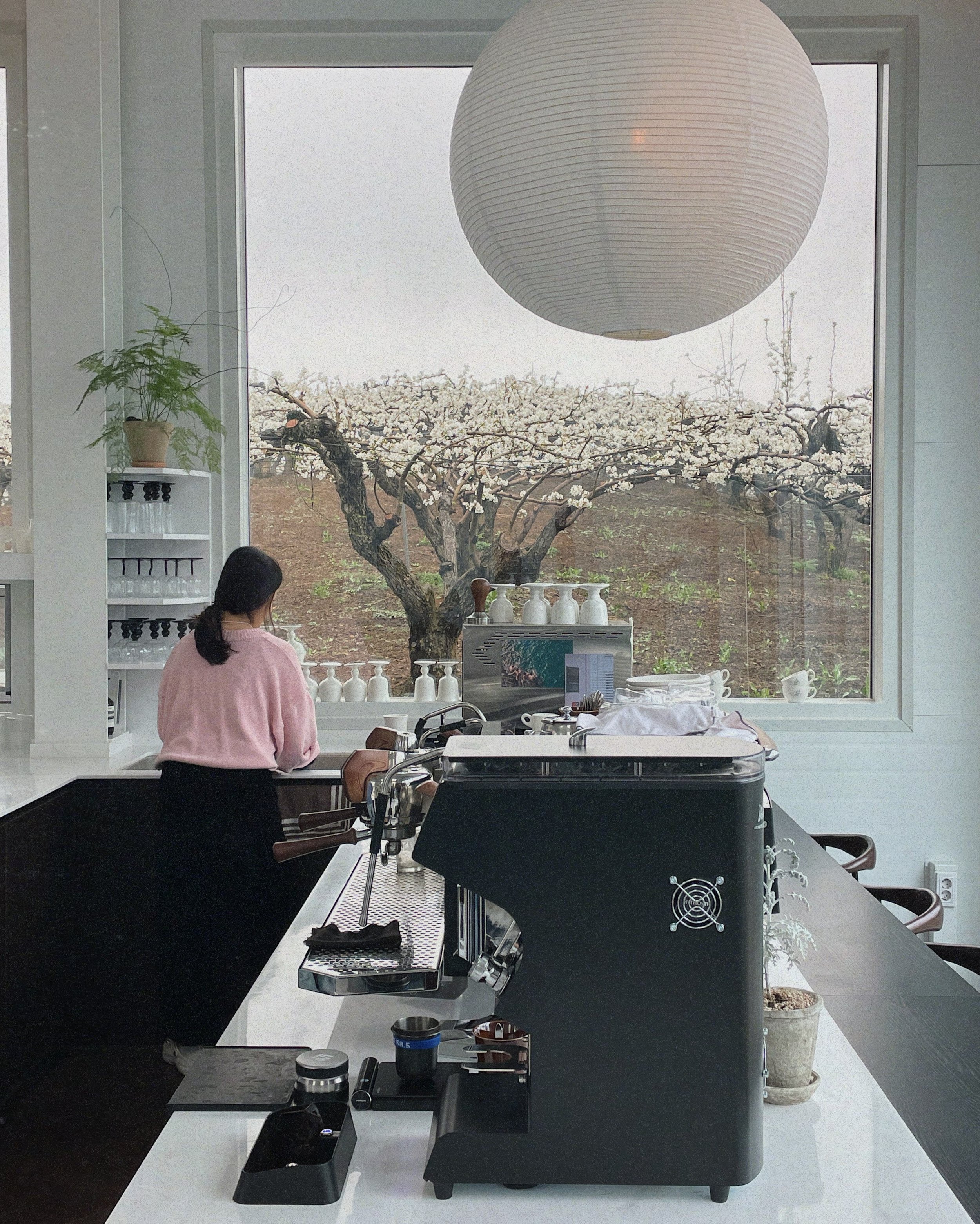 jukbaekhwacafe.JPG