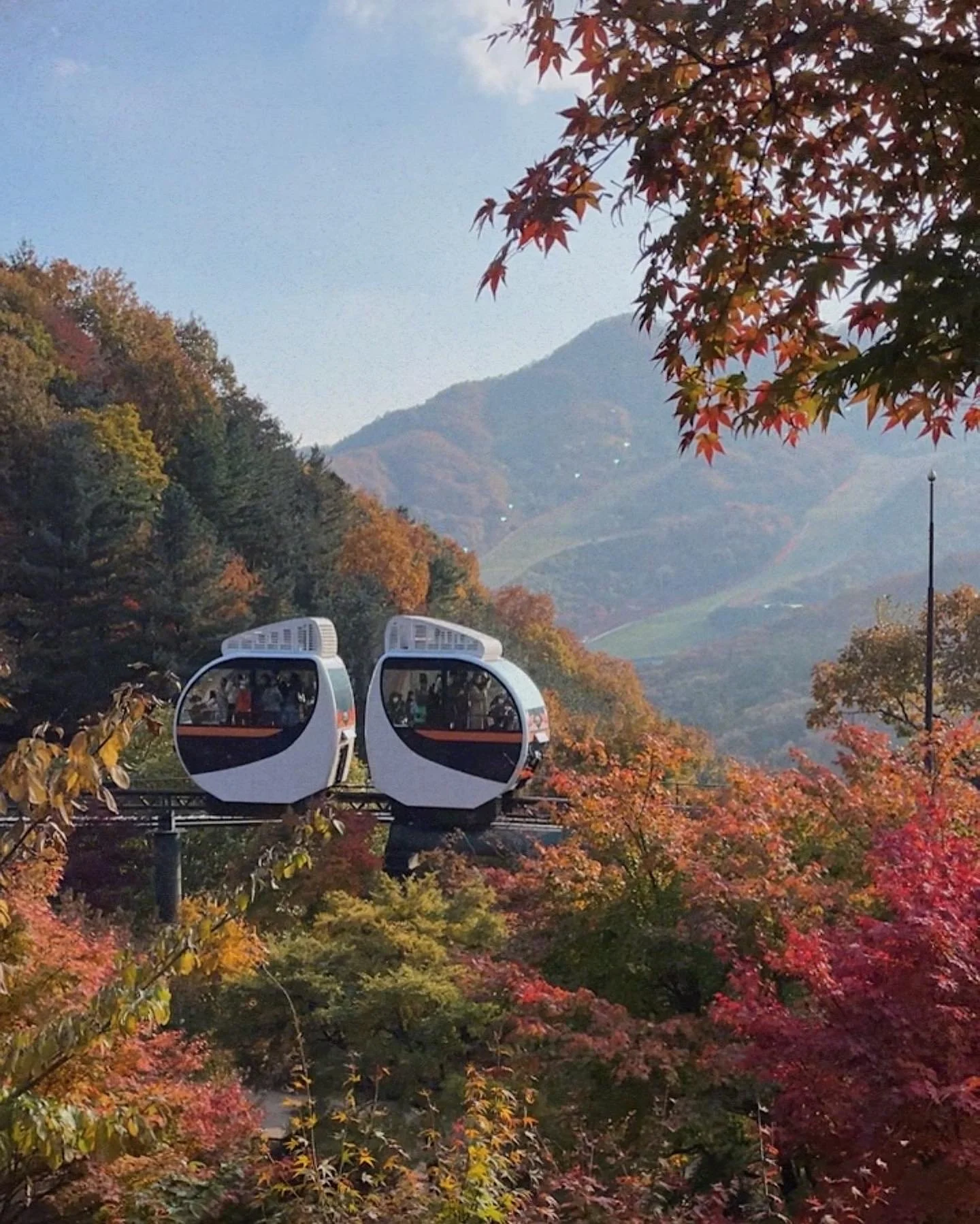 Top 20 Things to Do in Korea This Fall