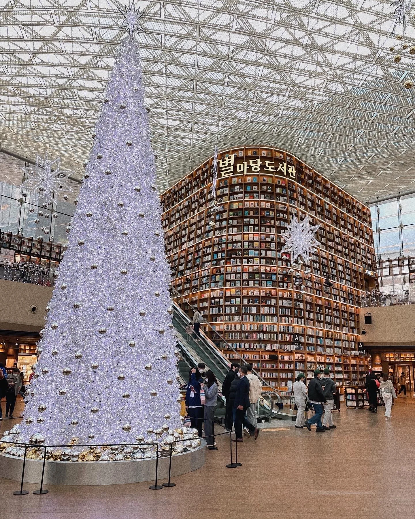 COEXGangnamChristmasdisplay.JPG
