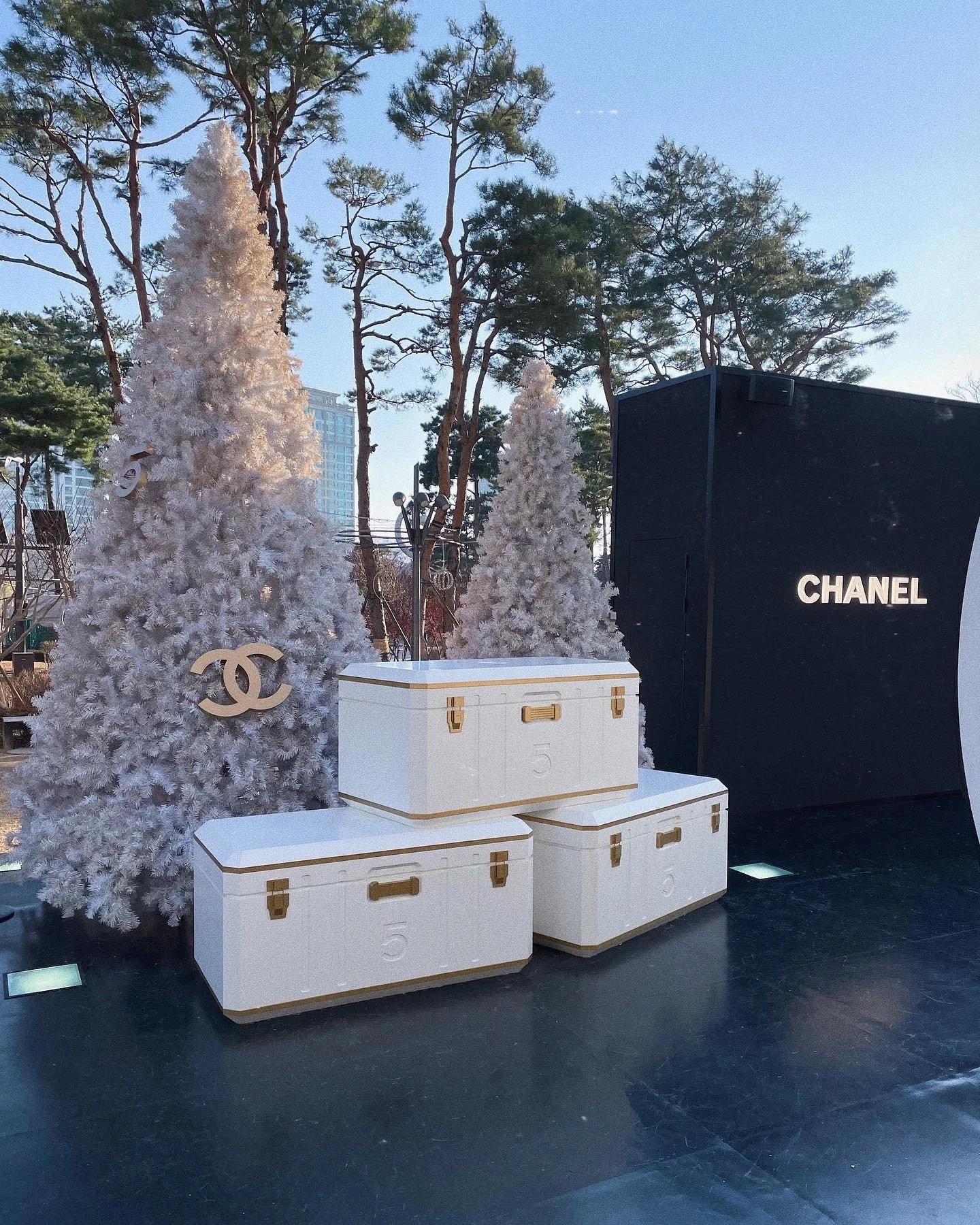 SeoulChanelChristmas.JPG