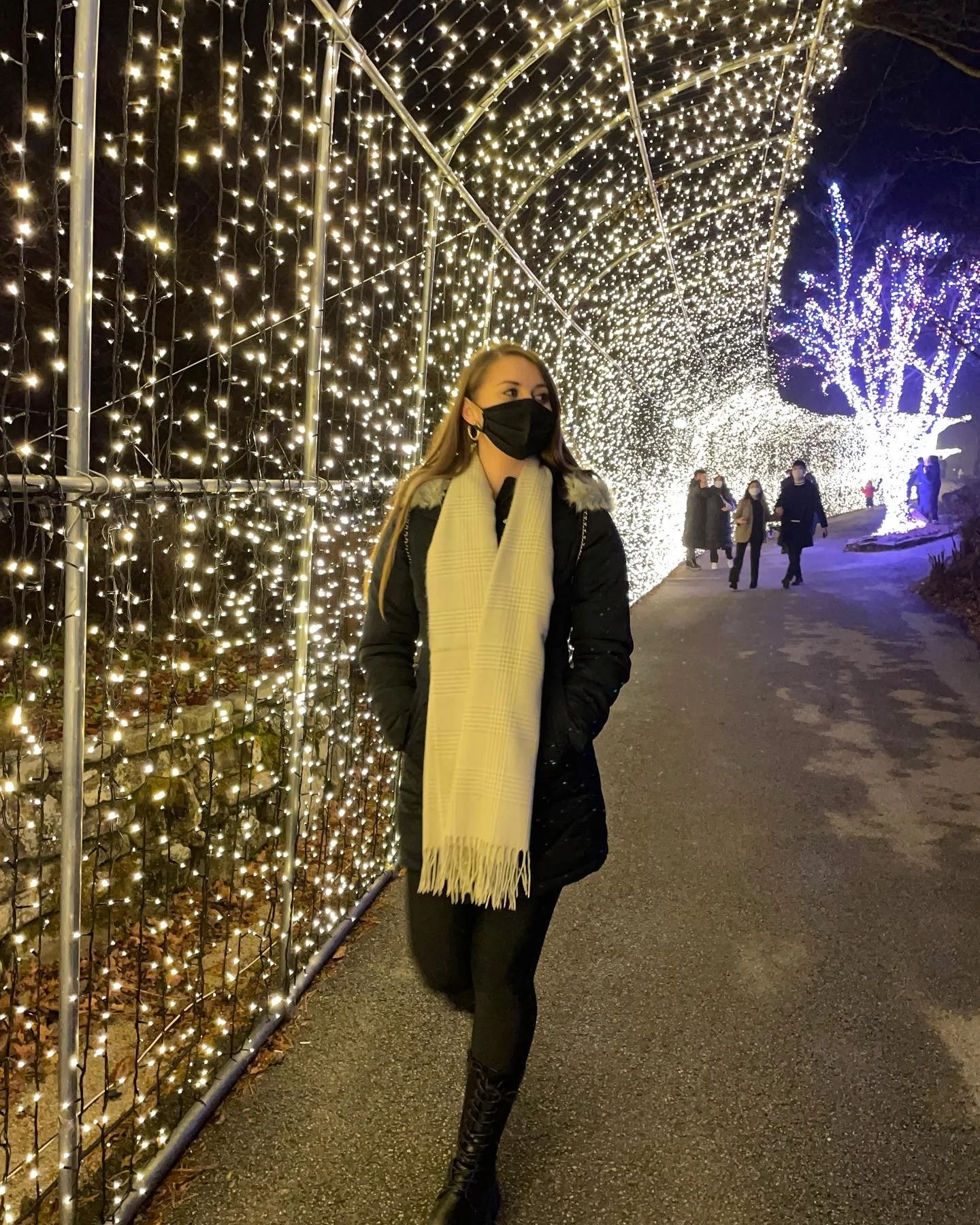 Gardenofmorningcalmlights.JPG