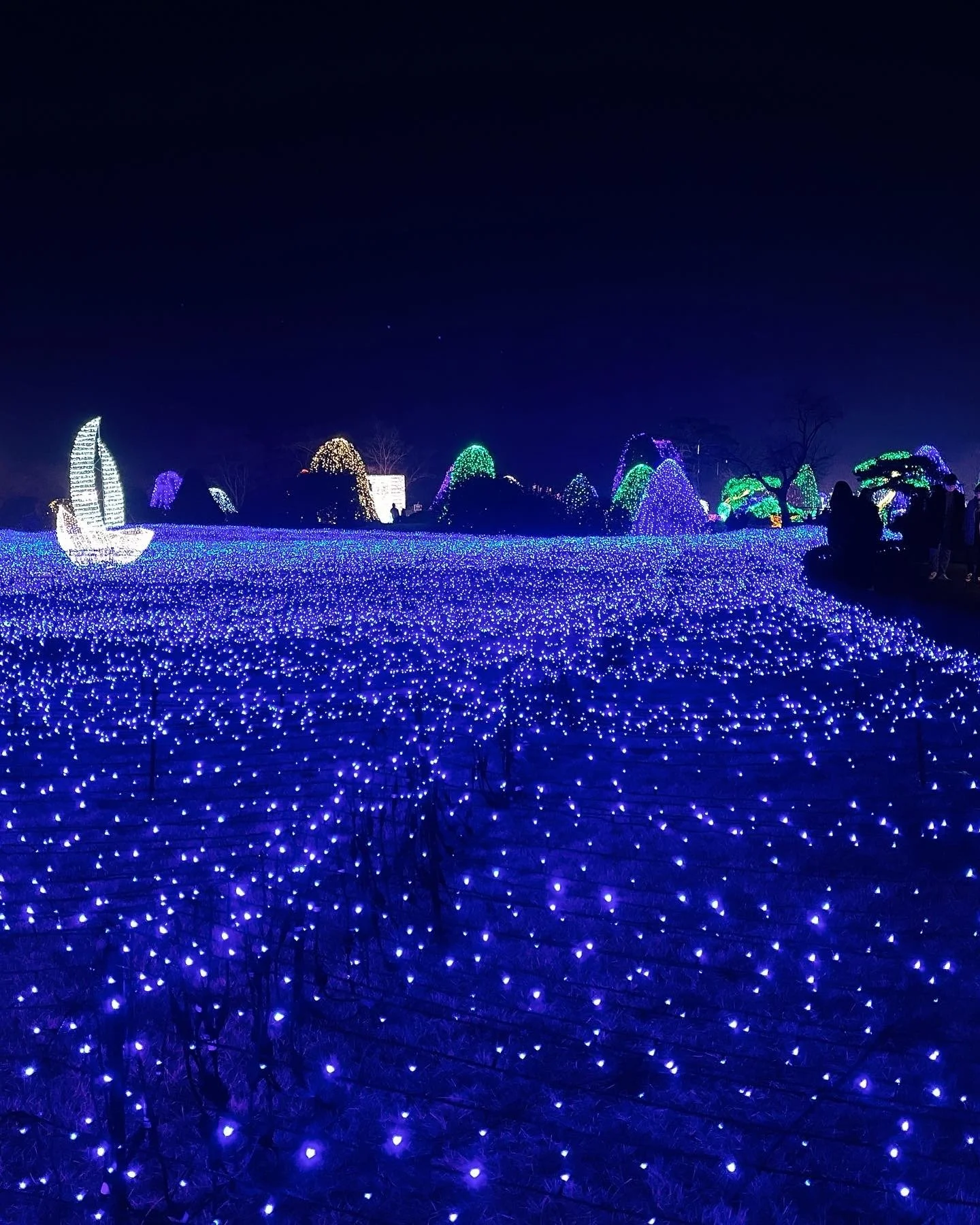 GardenofmorningcalmChristmaslights.JPG