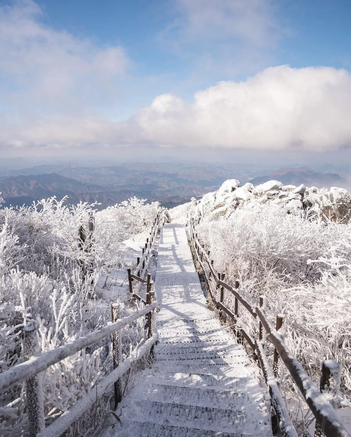 WinterHikes.jpg
