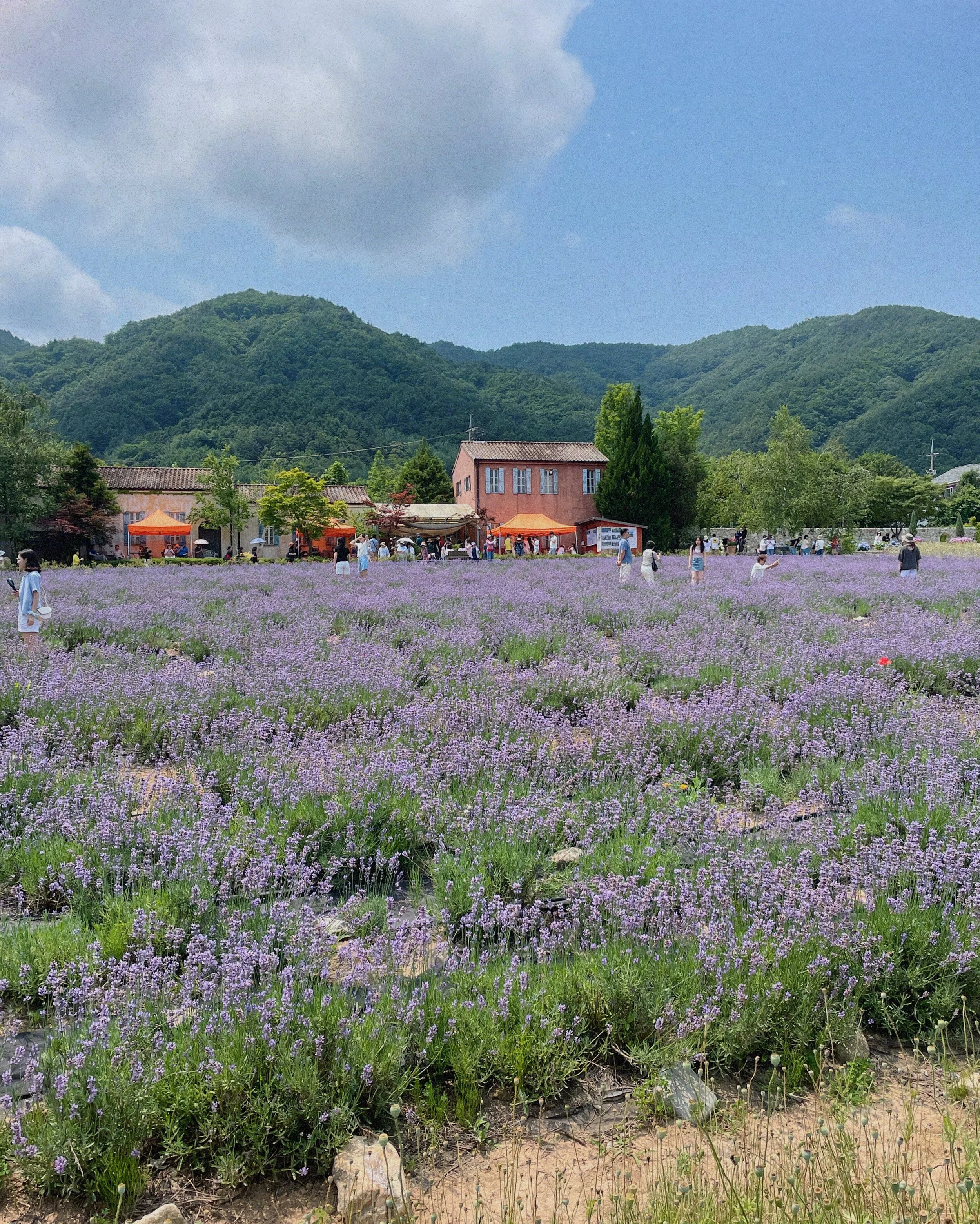 Weekend Guide to Sokcho