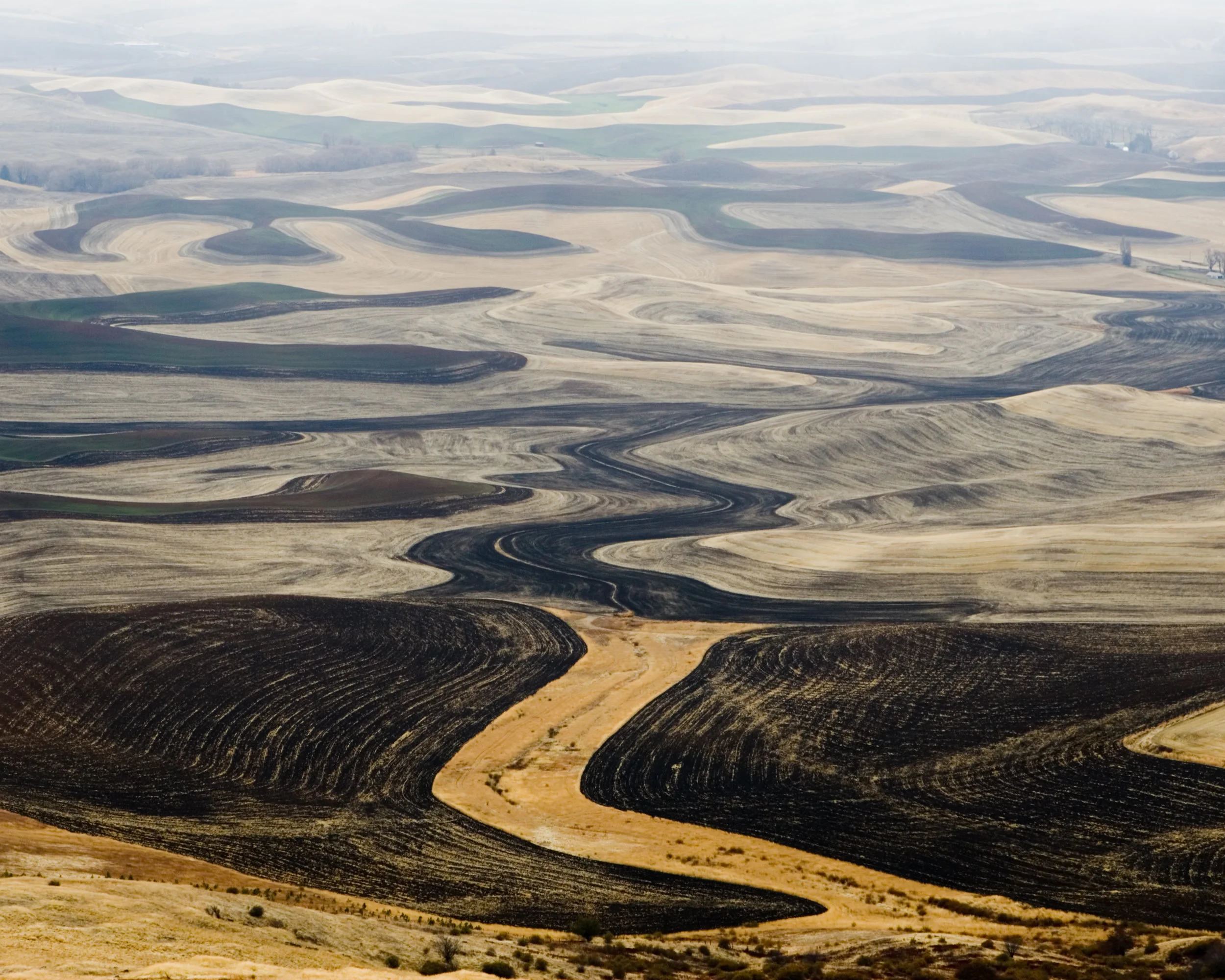 ariel view wheat fields eric edeen.jpg