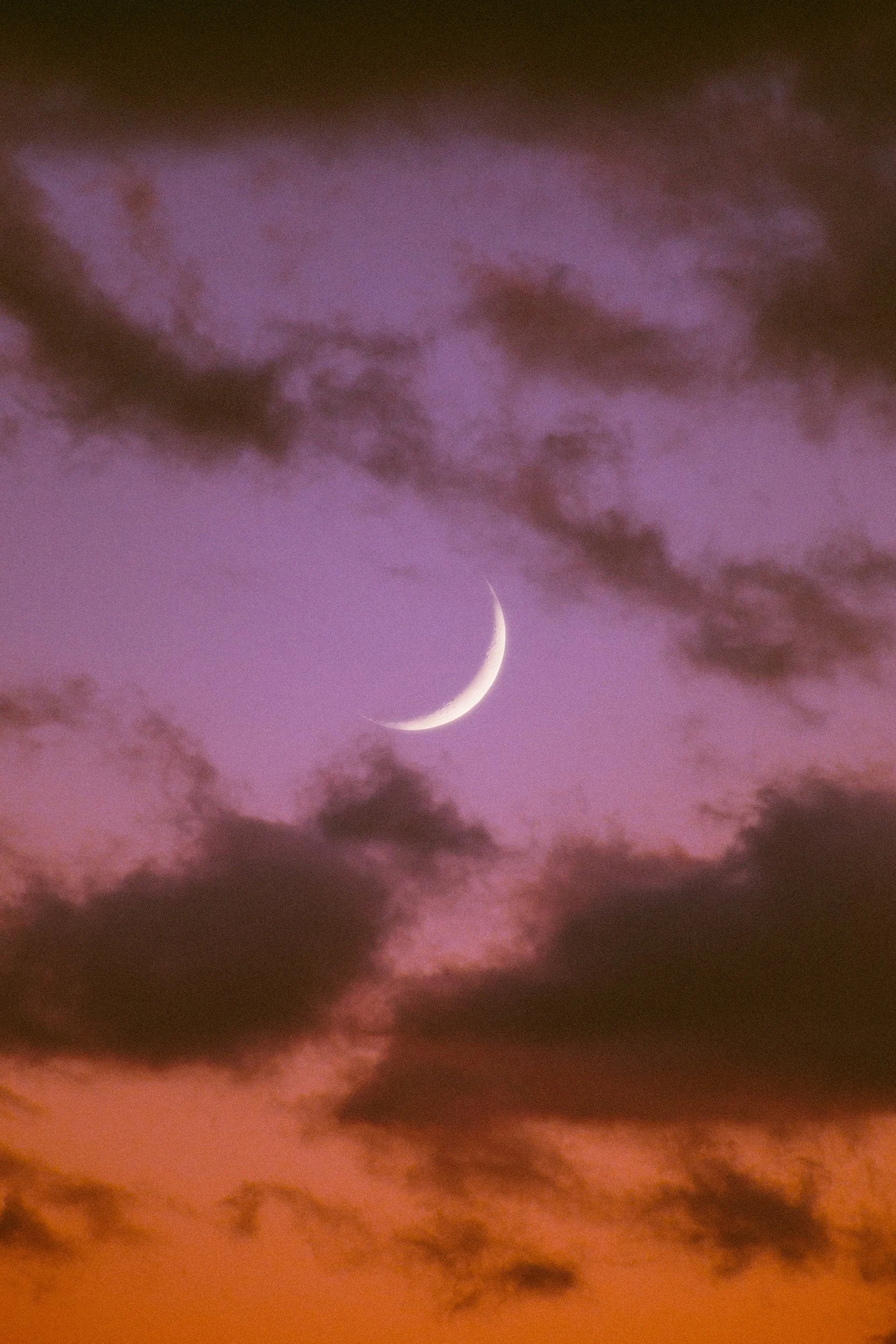 20190106-IMG_1265 e.jpg