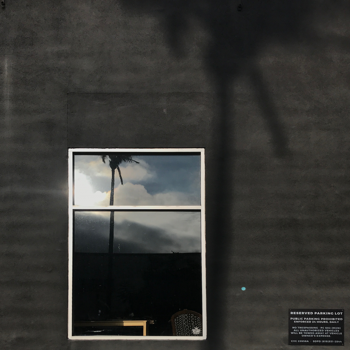 Window+Palm_blank.png