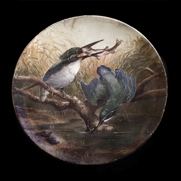 Vedderkingfisherlores.jpg