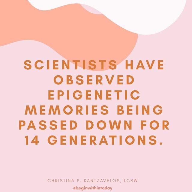 &ldquo;Scientists Have Observed Epigenetic Memories Being Passed Down For 14 Generations.&rdquo;
.
.
Our bodies receive genetic instructions from our DNA that is passed down through generations. Aside from the physical and personality instructions we