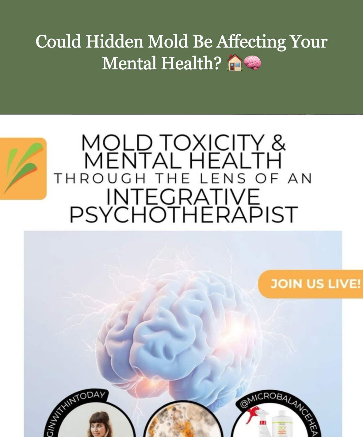 Could Hidden Mold Be Affecting Your Mental Health? // February 07, 2026