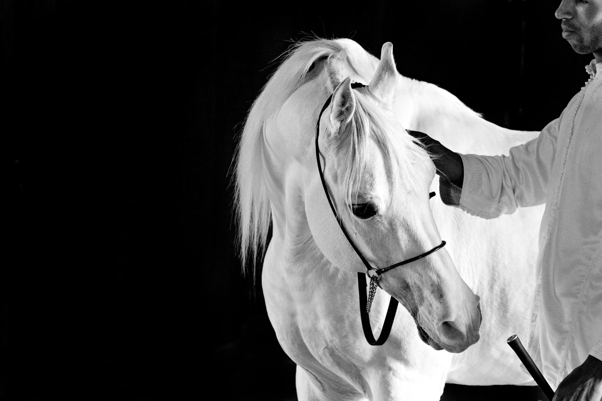 LJW_8643 bw.jpg