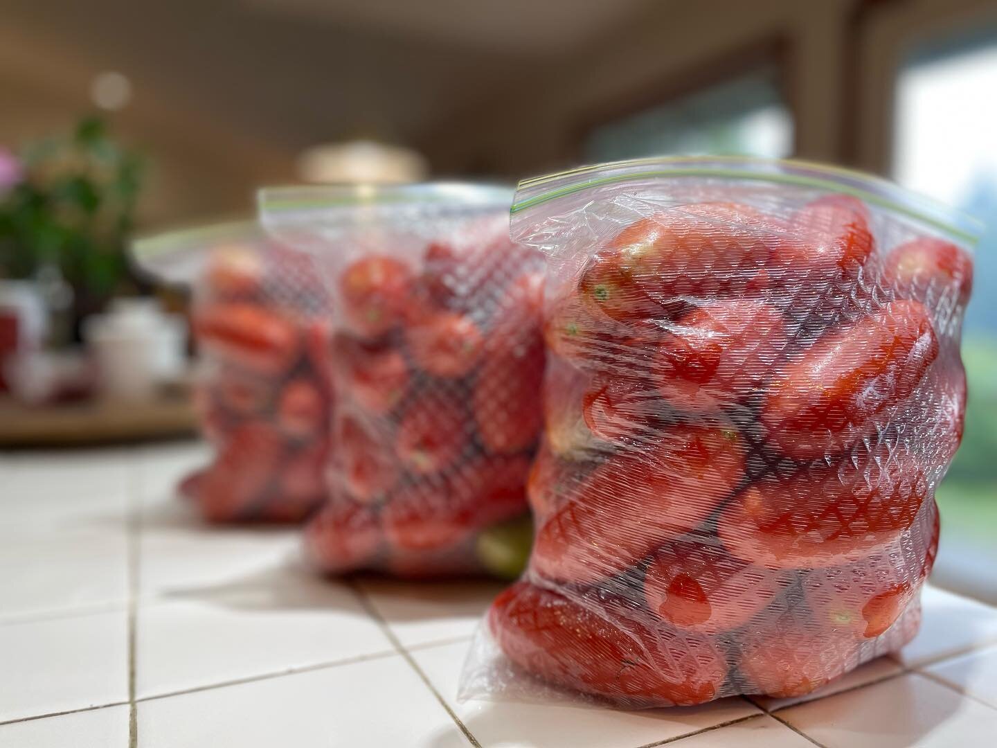 Seventeen POUNDS of paste tomatoes for the freezer. Good for a couple more big batches of soup this winter.