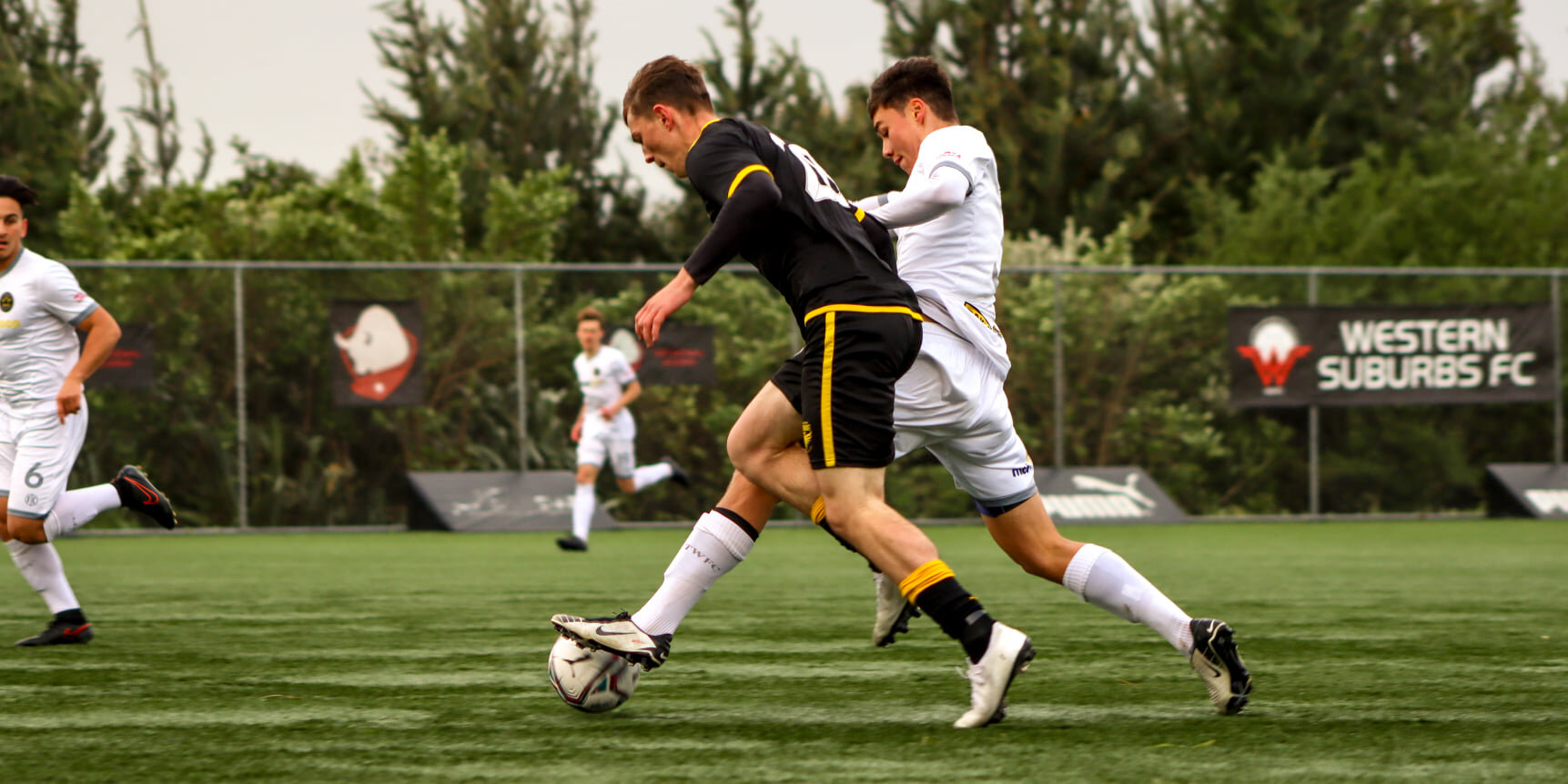 Team wl v phoenix black 1.jpg