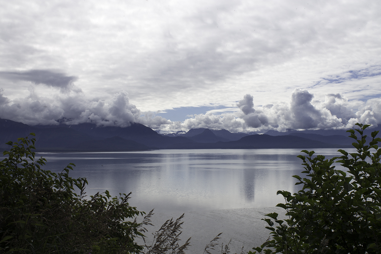 View over the bay