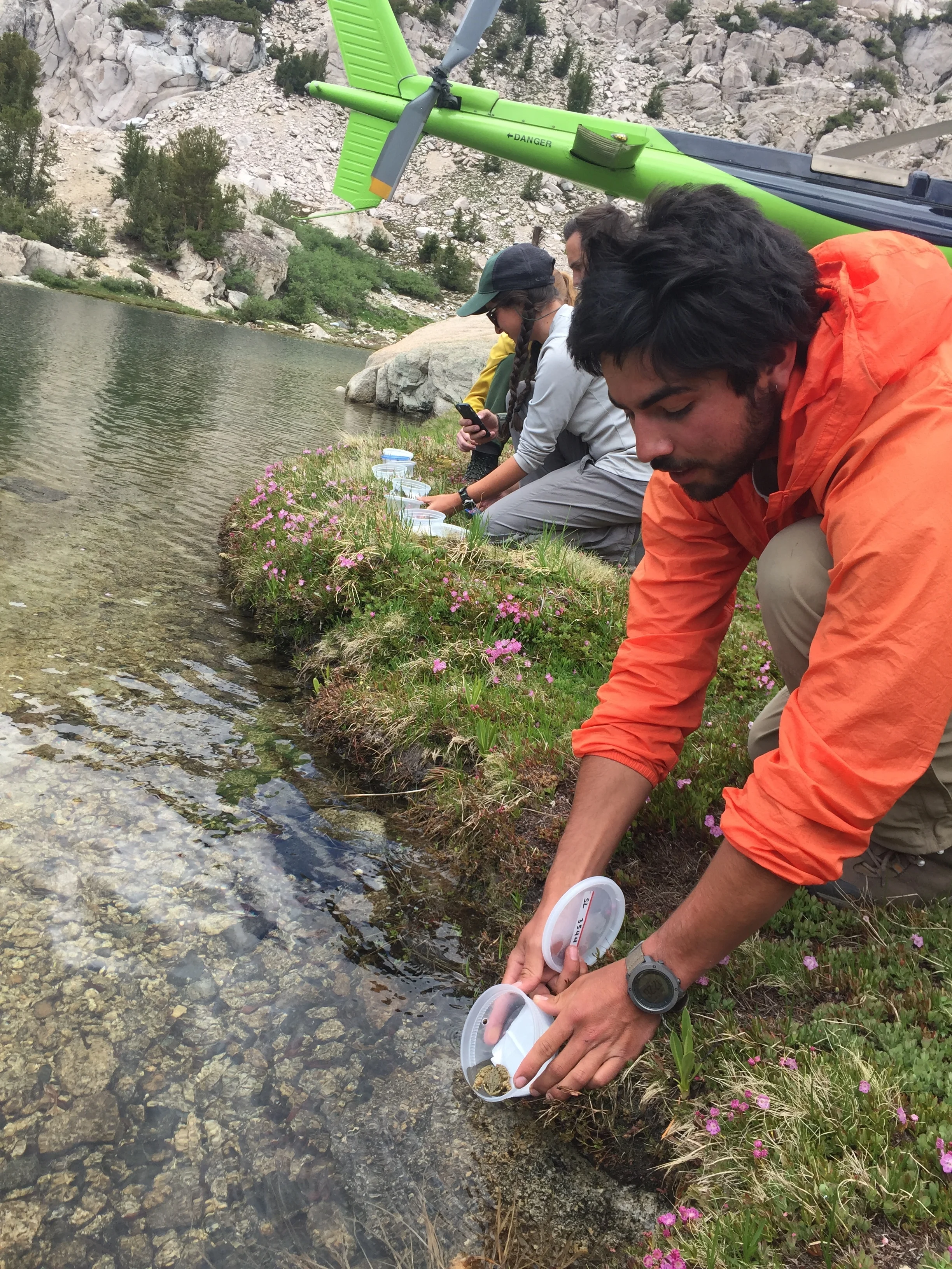 Miguel Provencio shows a mountain yellow-legged frog to freedom.