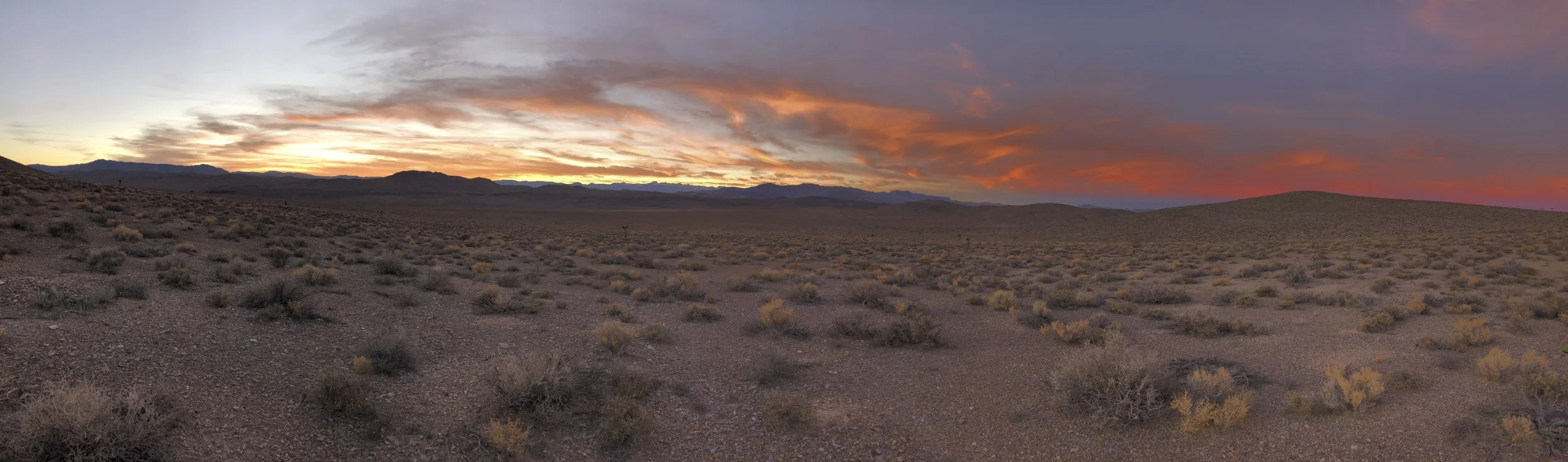 Unnatural Disaster, part II: Nature's Indifference