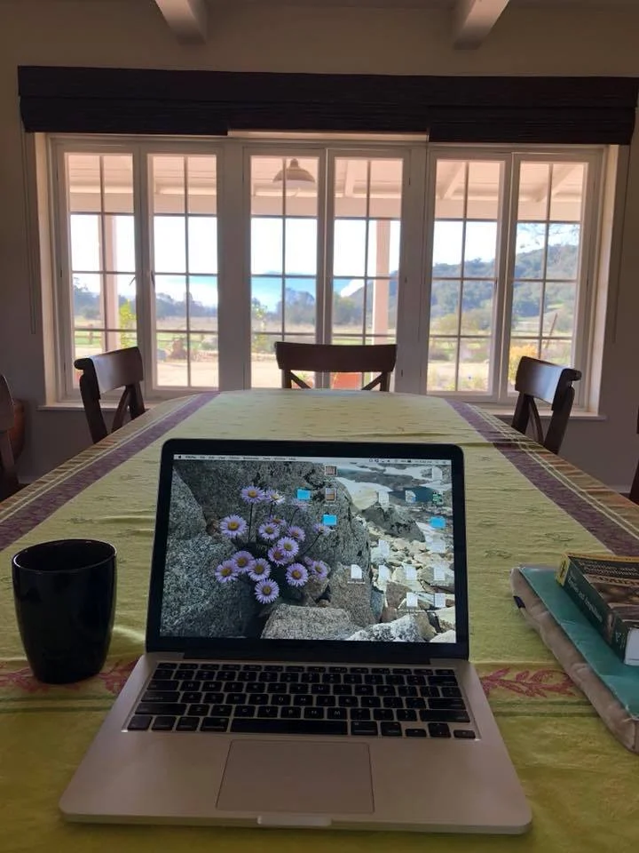 Often, my desk is where I make it. Here, at UCSB's Sedgwick Reserve. April 2018.