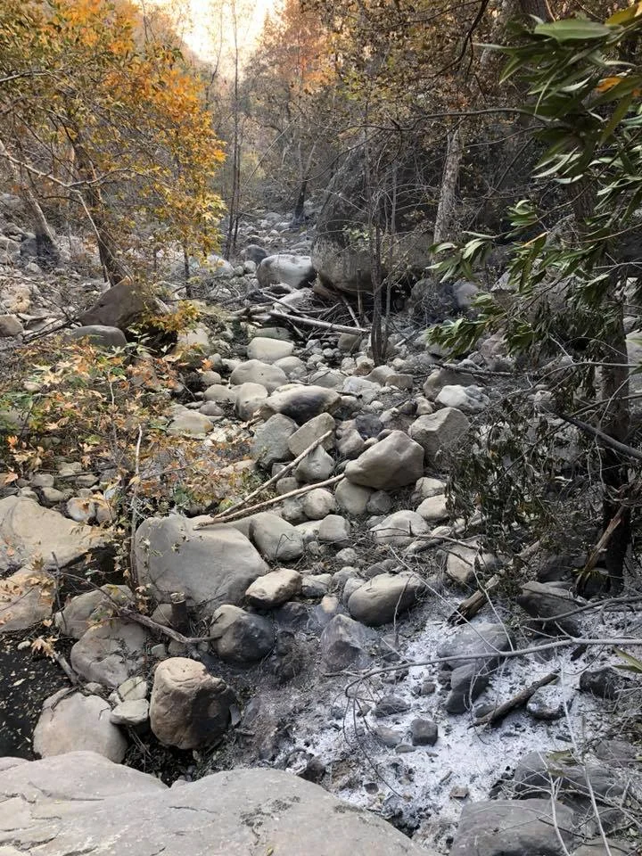 Ash looks like snow in the creek bed near our house after the wildfire. December 2017.