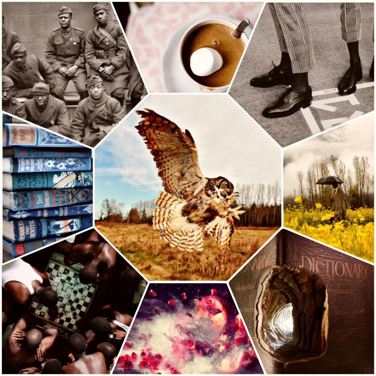 New ars Paradoxica is live!
