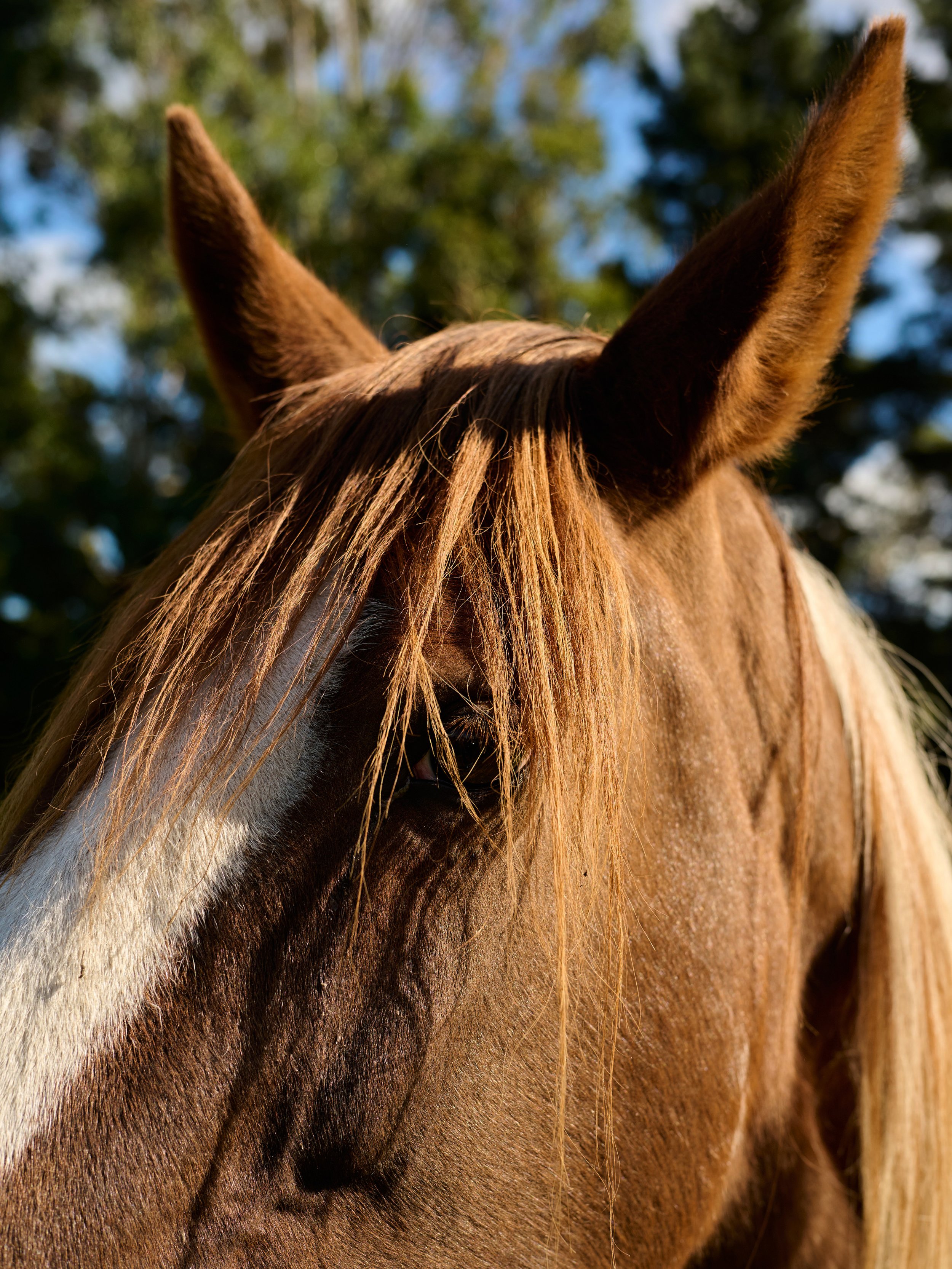 220419_Marton-Welly_0080.jpg