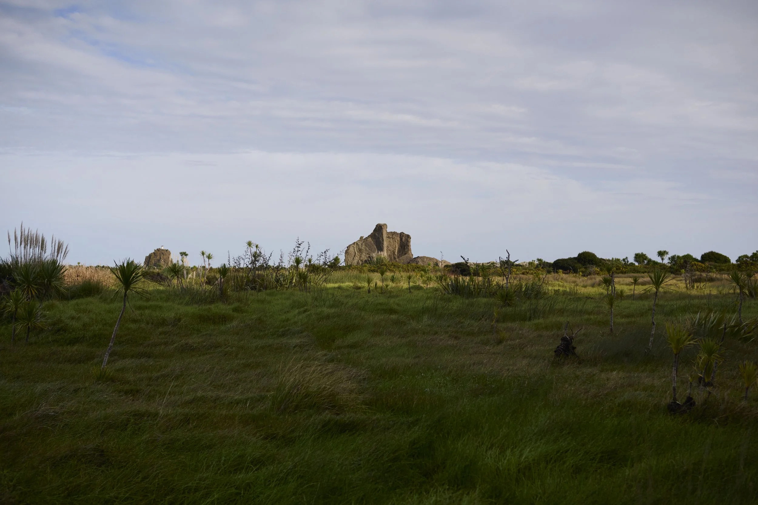 DSC_1835.jpg