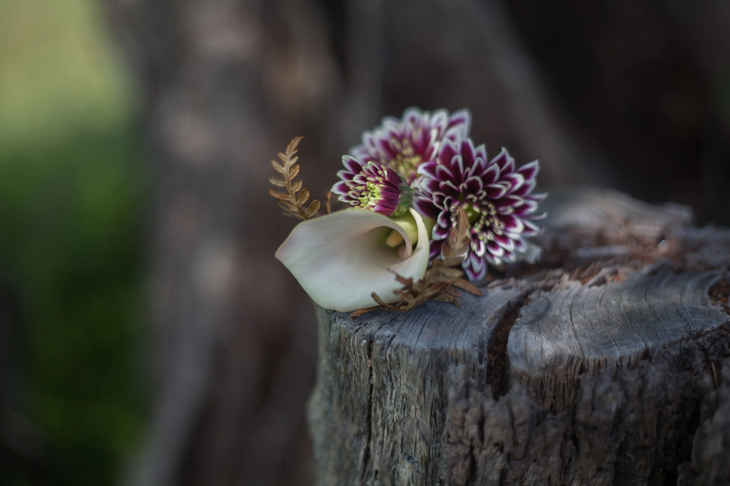 Dancing Blossom Studio Eco Buttonhole.jpg